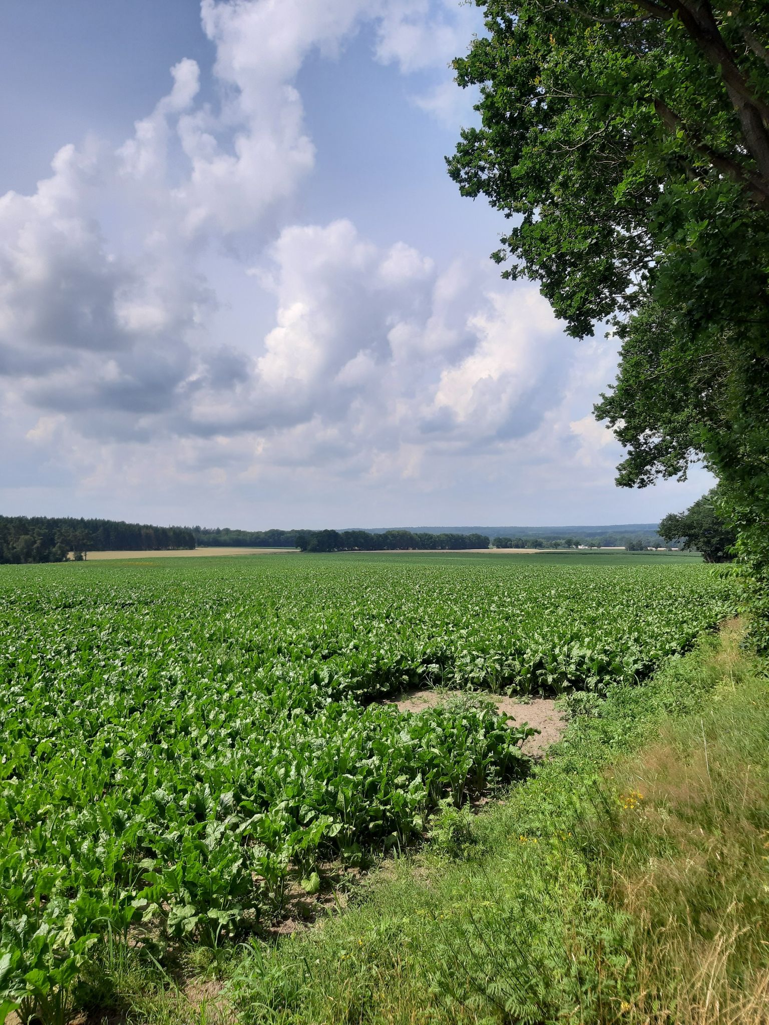 Ausblick