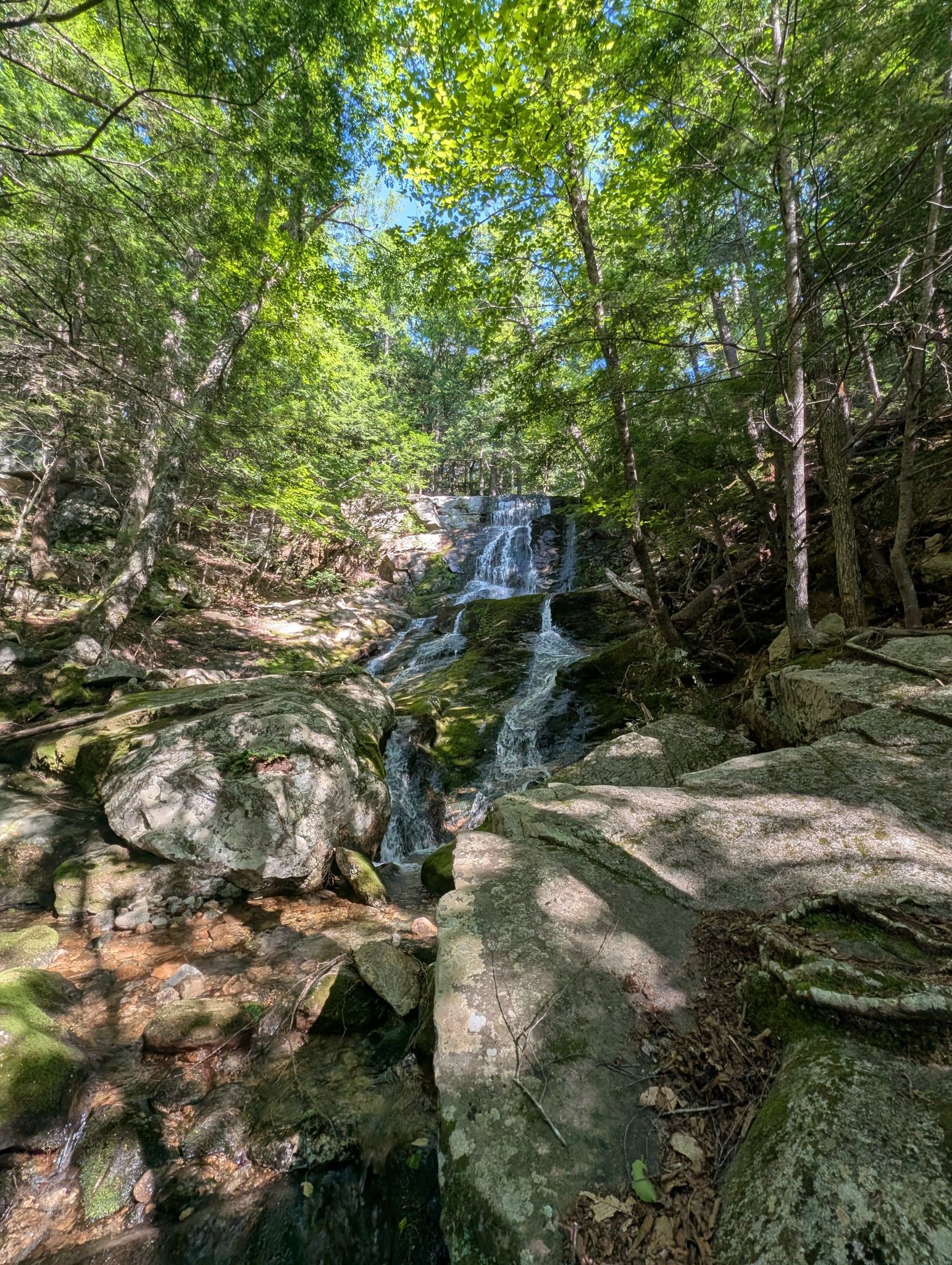 Sunlit waterfall cascading over mossy rocks in a vibrant green forest. - Mount Meader and Basin Rim Trail Loop