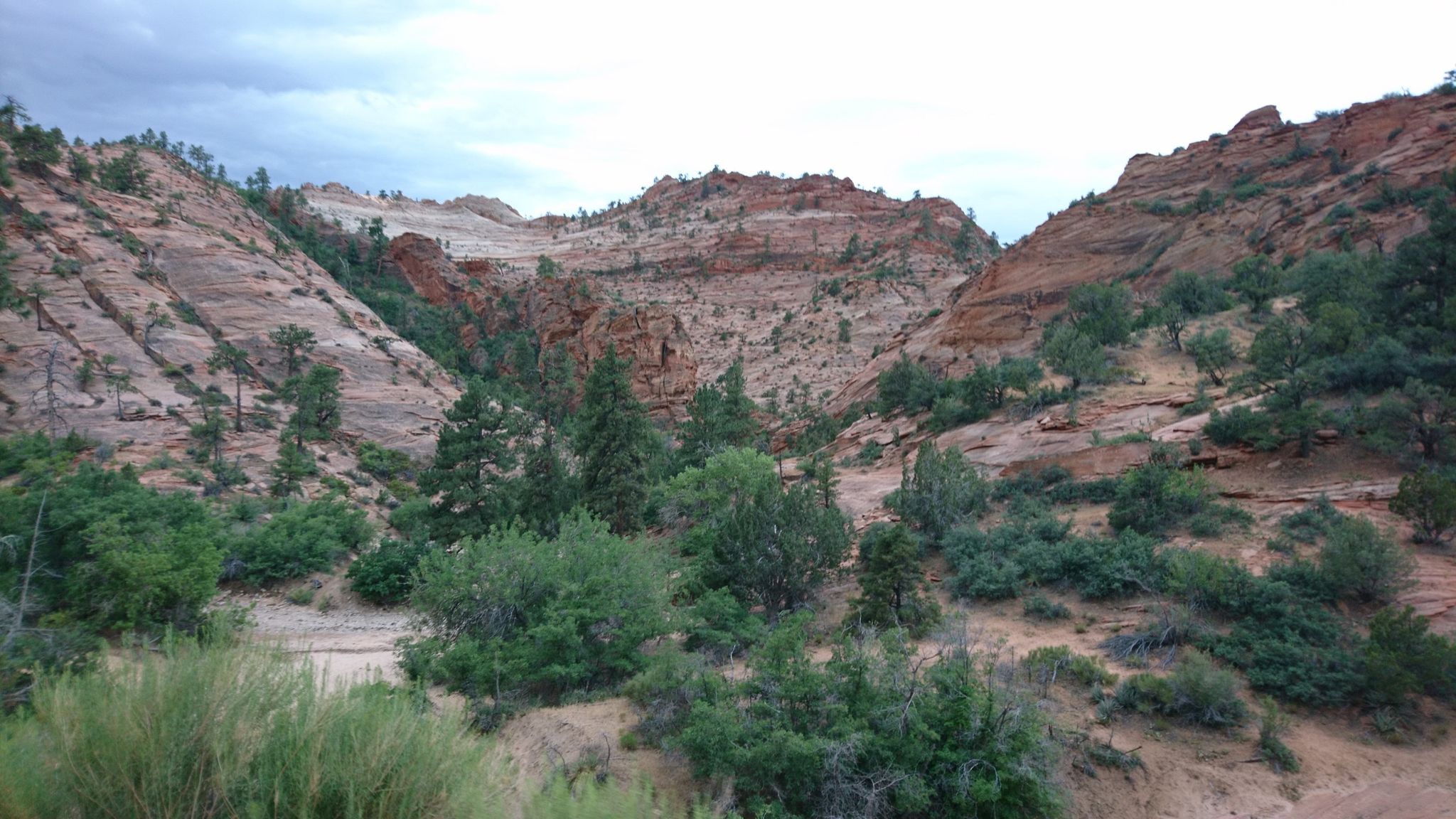 Red and white layered canyon walls with green trees under a cloudy sky. - The Zion Mount Carmel Tunnel East Entrance from Zion Mountain Ranch