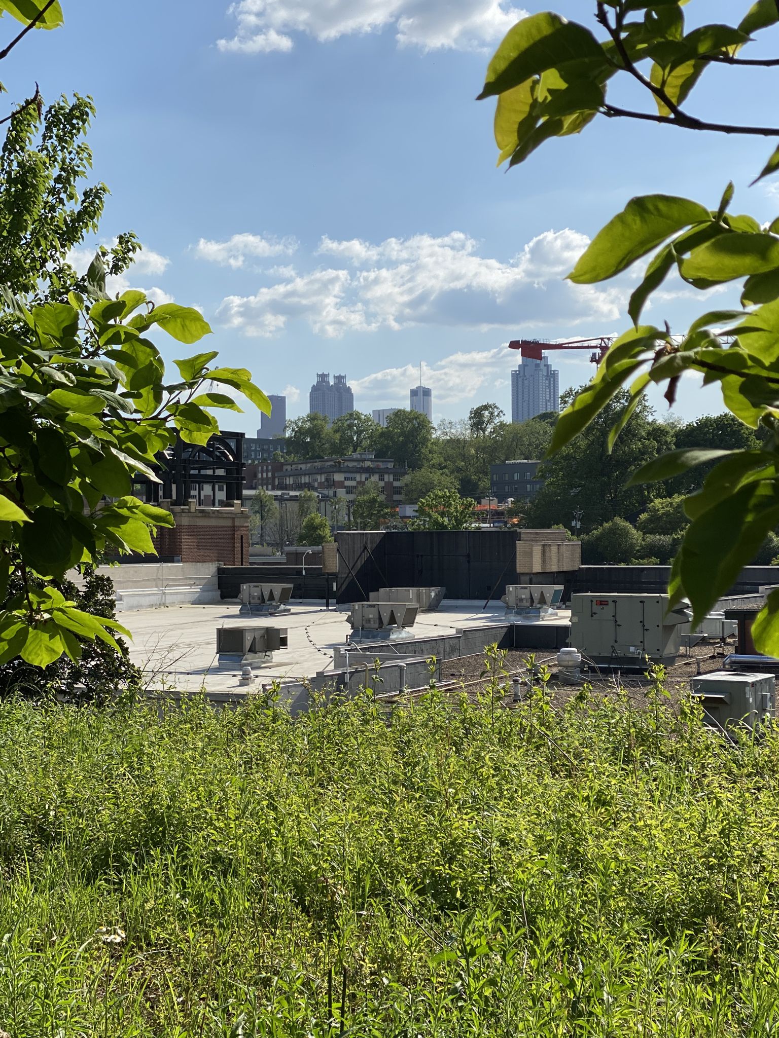 View over rooftops and green foliage towards a distant city skyline. - Ponce Market – Atlanta BeltLine loop from Carter Presidential Library