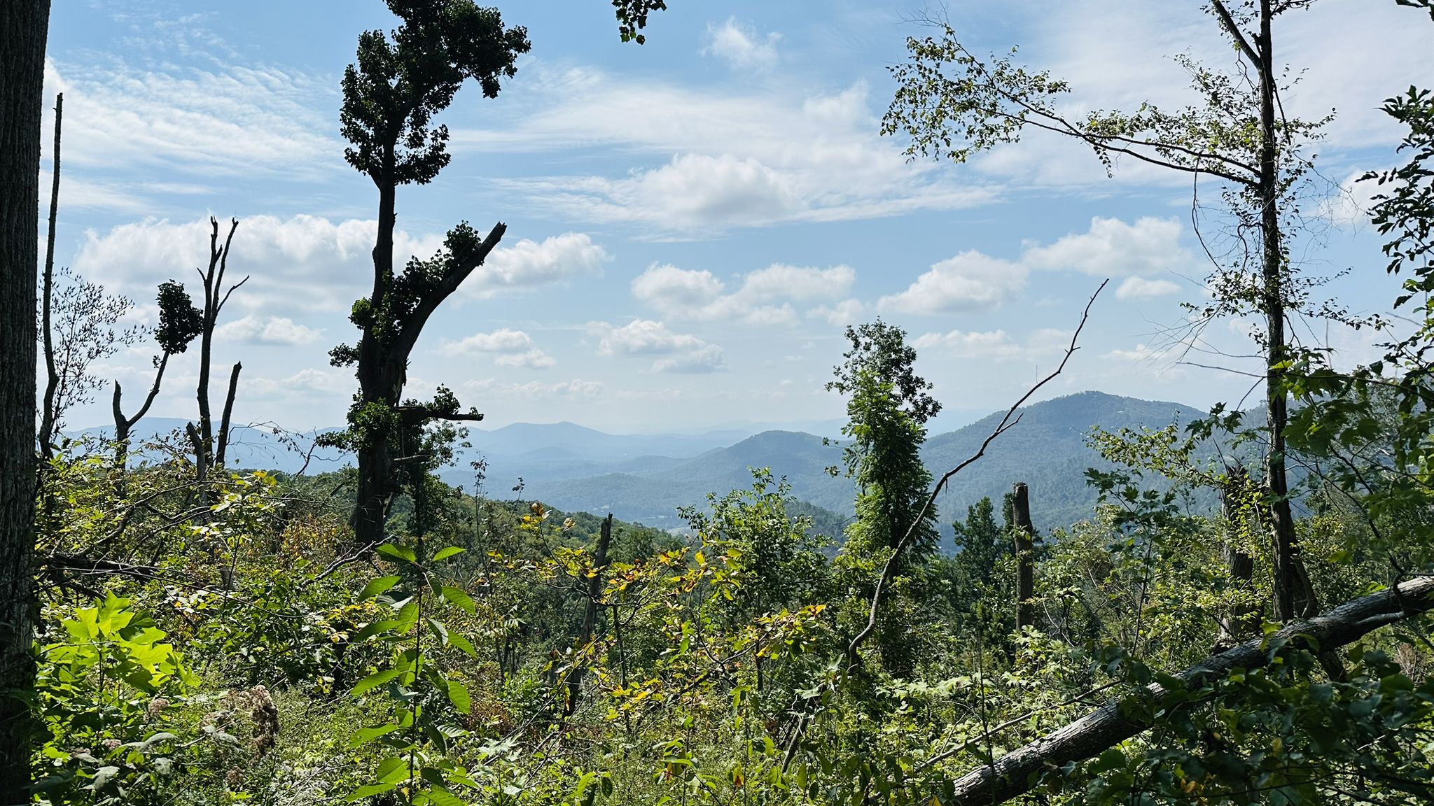 Mountainous landscape with lush green trees under a partly cloudy sky. - Rattlesnake Lodge Trail