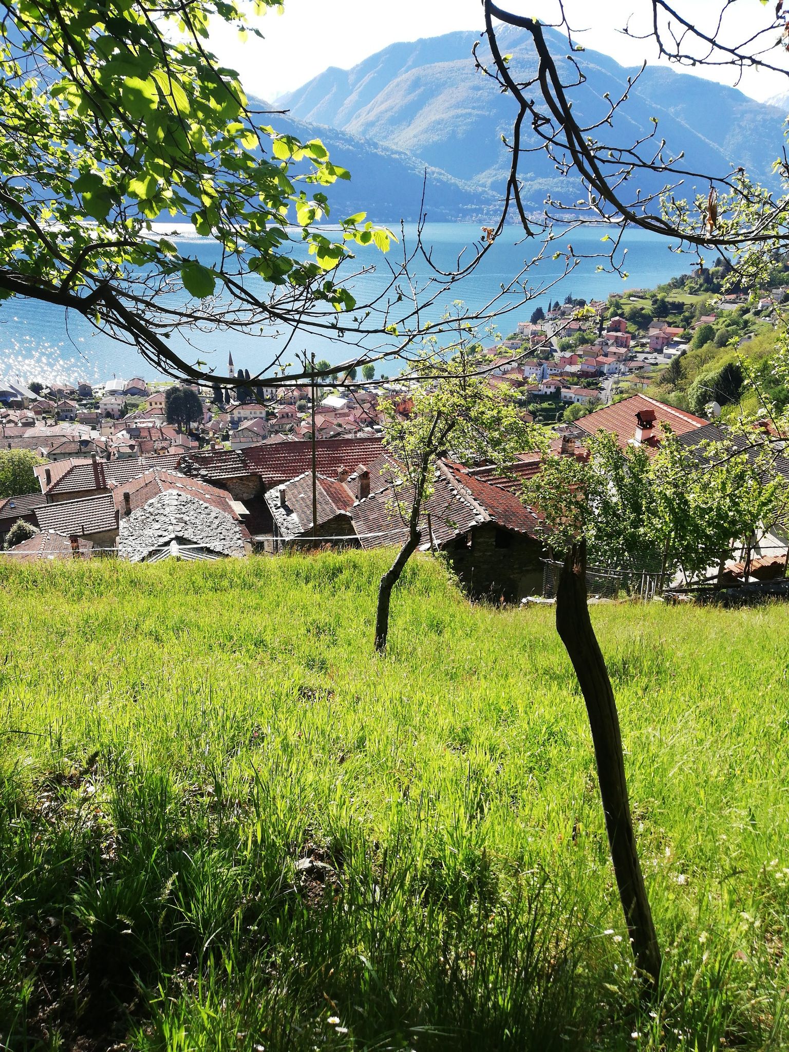 Pianello del Lario