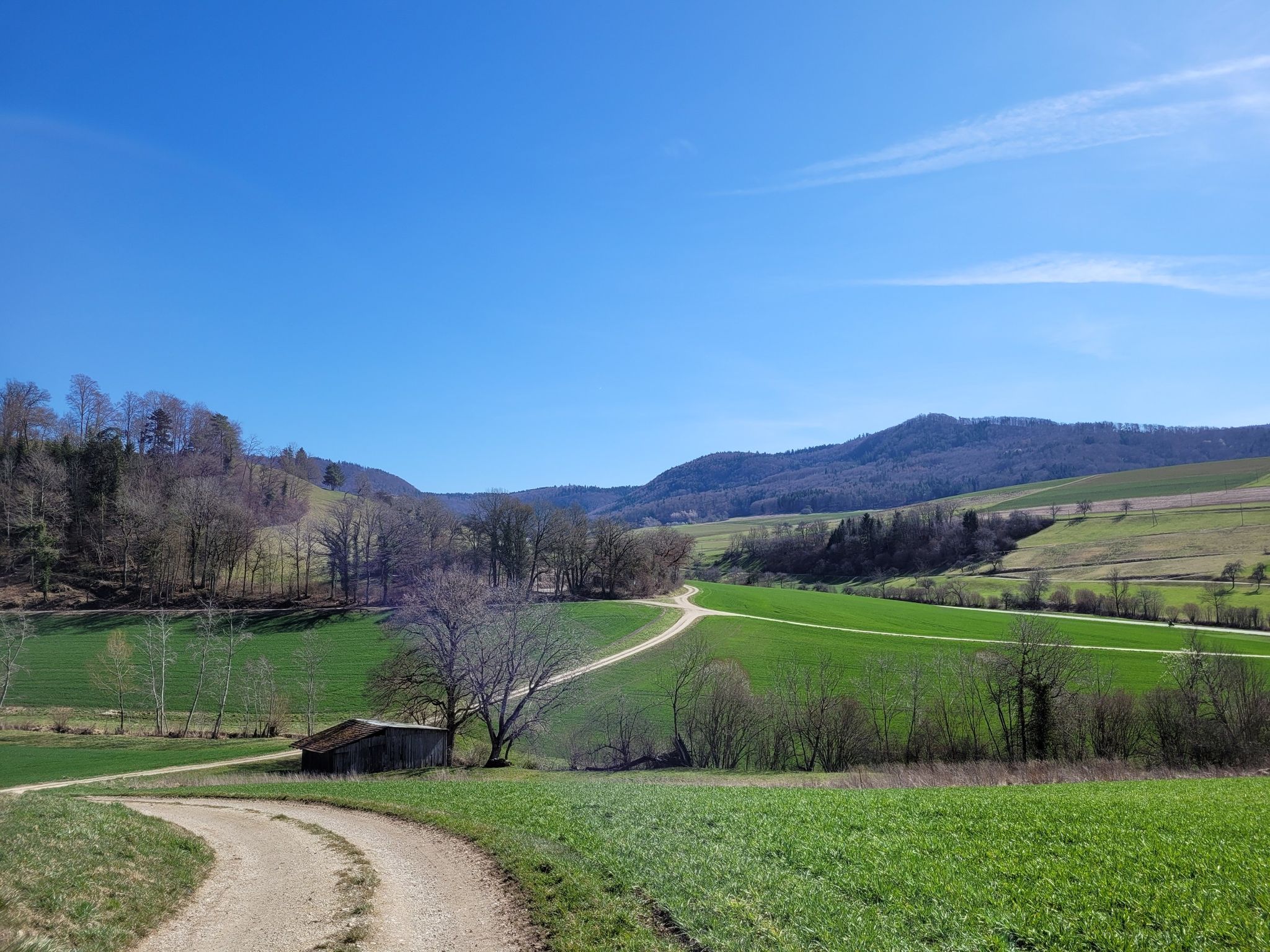 Blick zurück zum Schleitheimer Randenturm