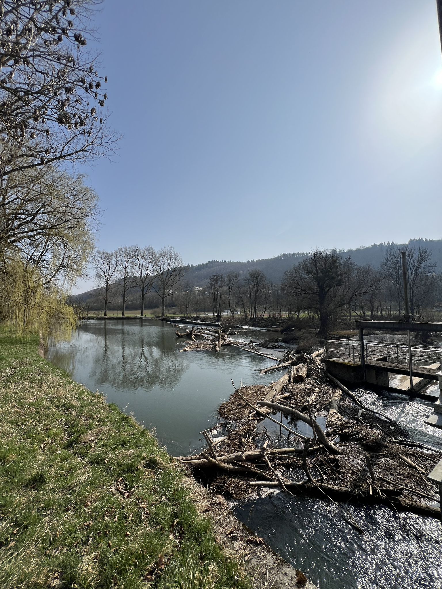 Schwemmgut am Kocherwehr Ernsbach.