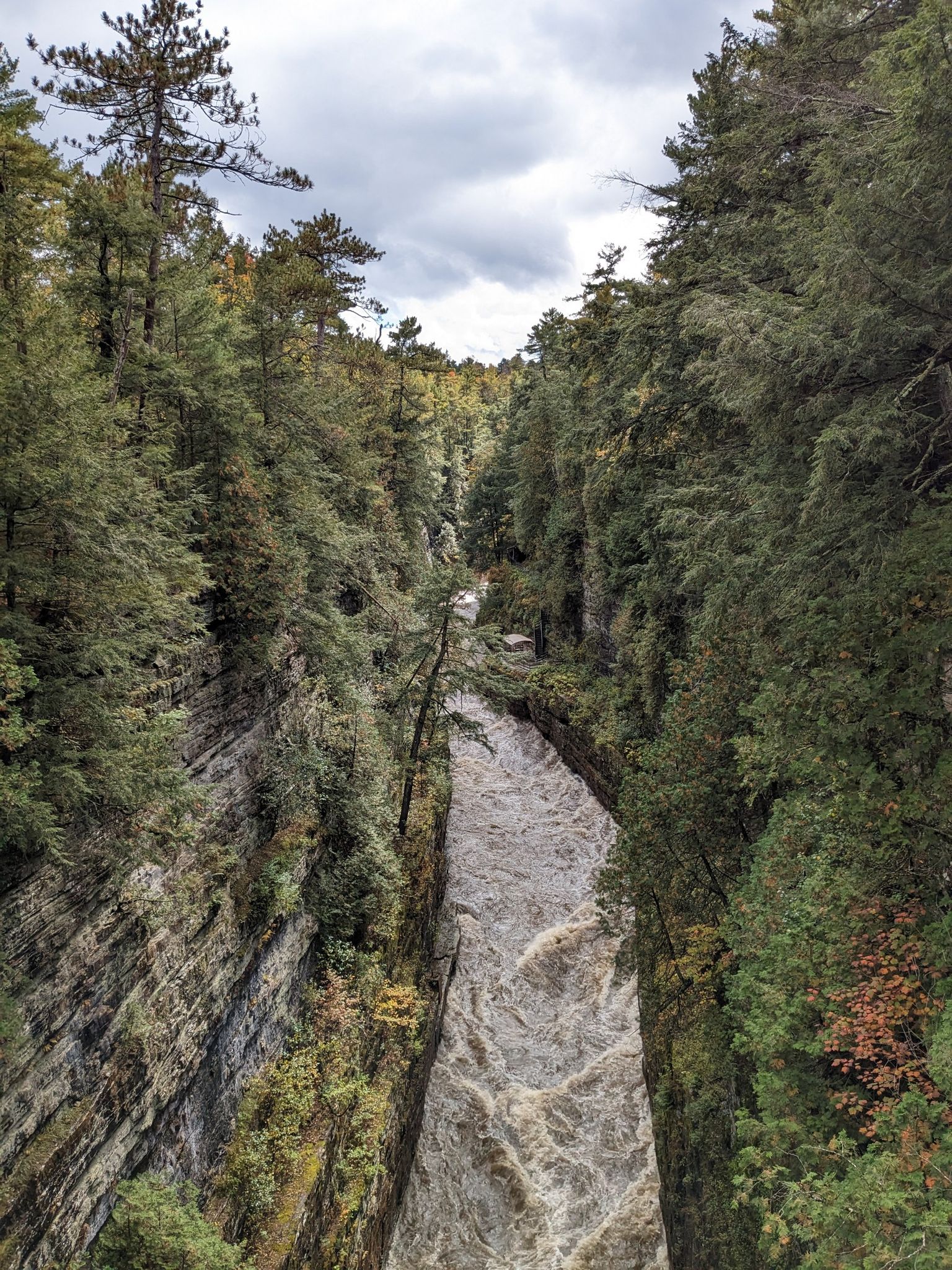 Turbulent brown river flows through a deep, tree-lined gorge under cloudy skies. - Dry Chasm Trail