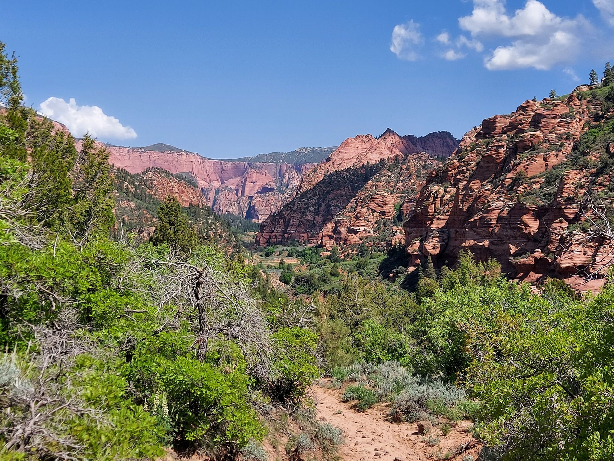 Sunny valley view with green trees and distant red rock formations. - Hop Valley Trail
