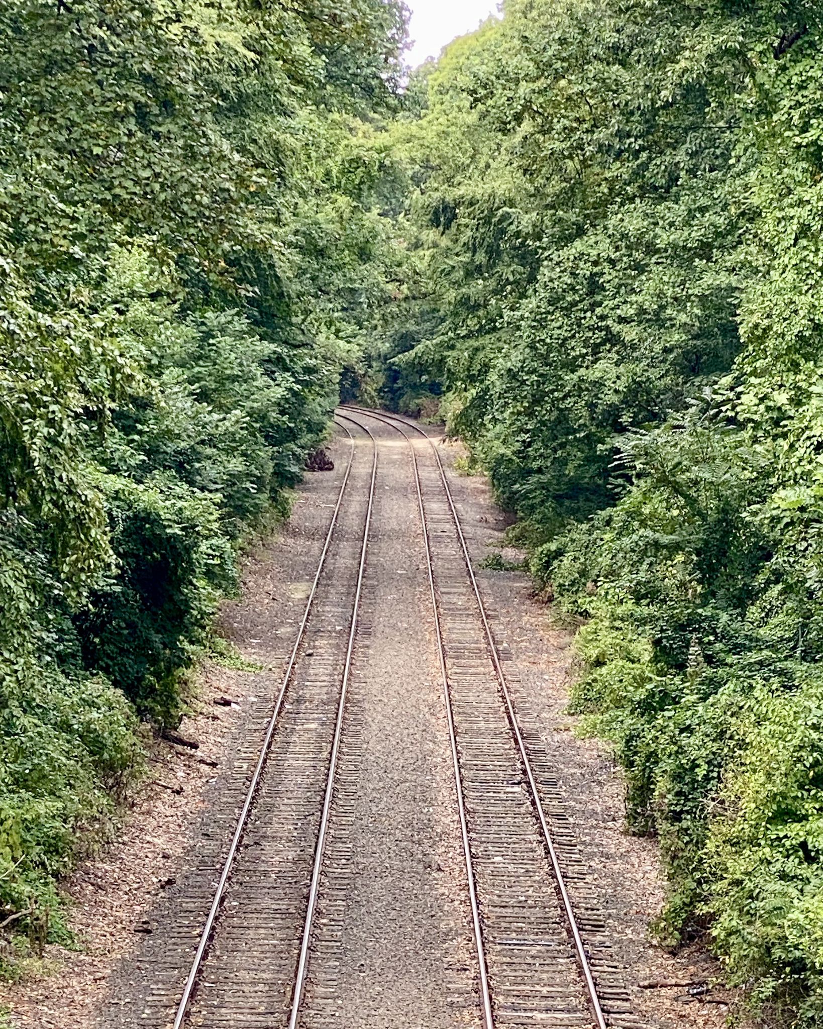 Train tracks disappearing into a tunnel of dense green trees. - Yellow Trail -Forest Park – Forest Park. Queens, NY loop from Queens