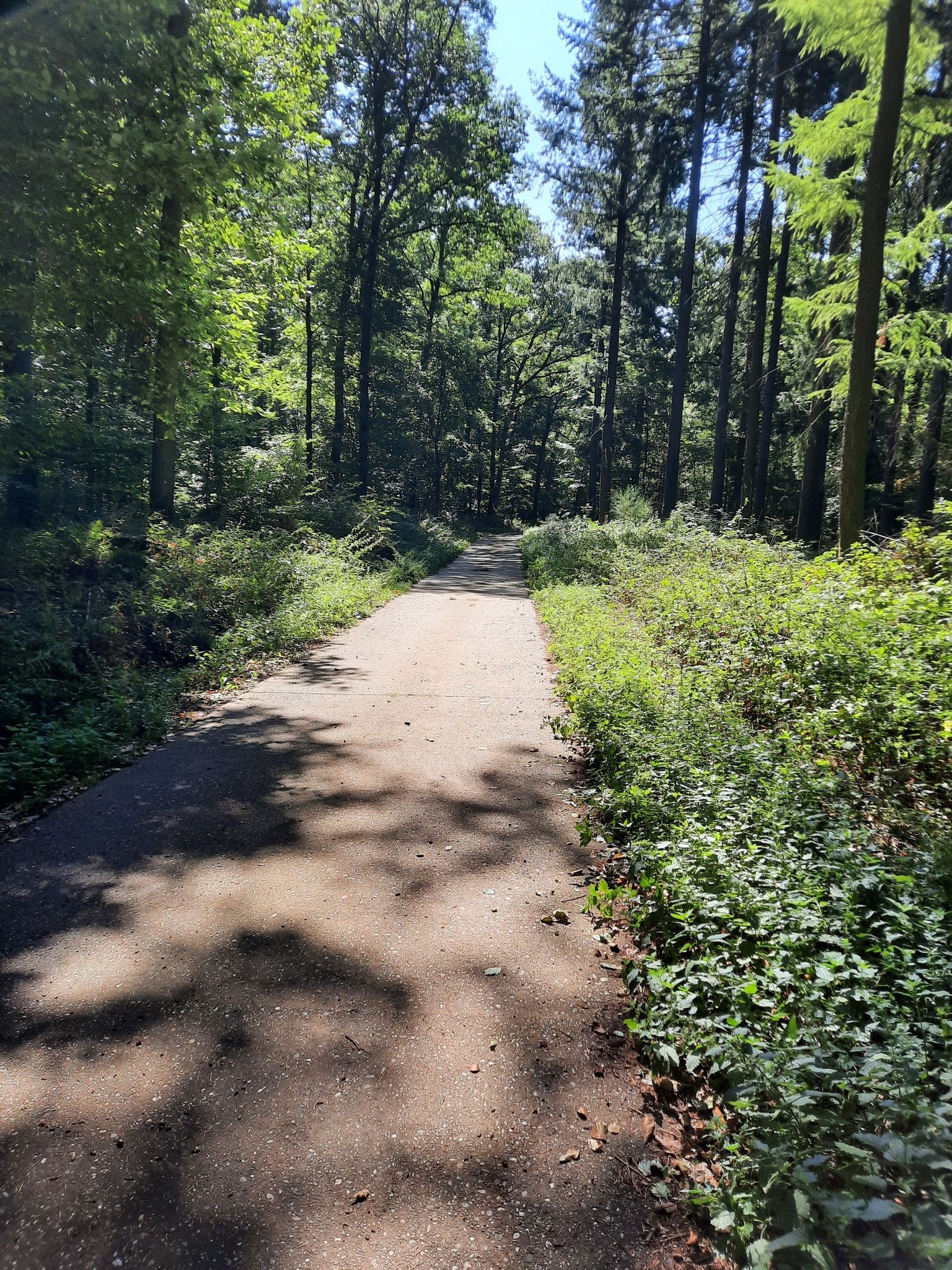 Bergab Richtung Bechhofen