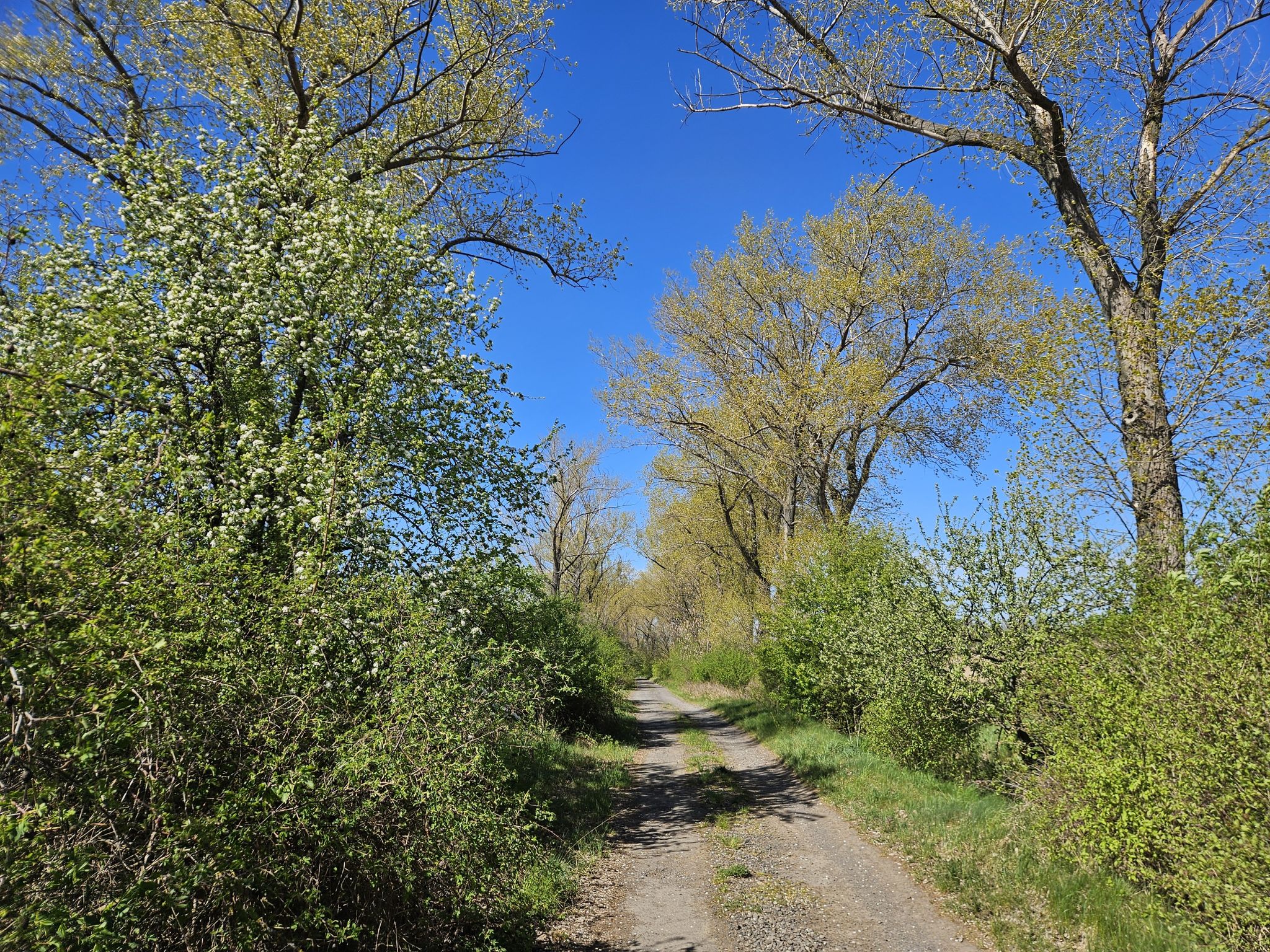 Weg zur Talsperre