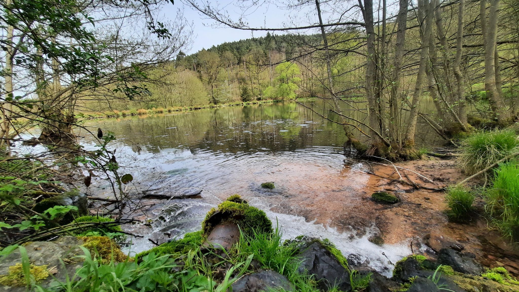 Dorfteich