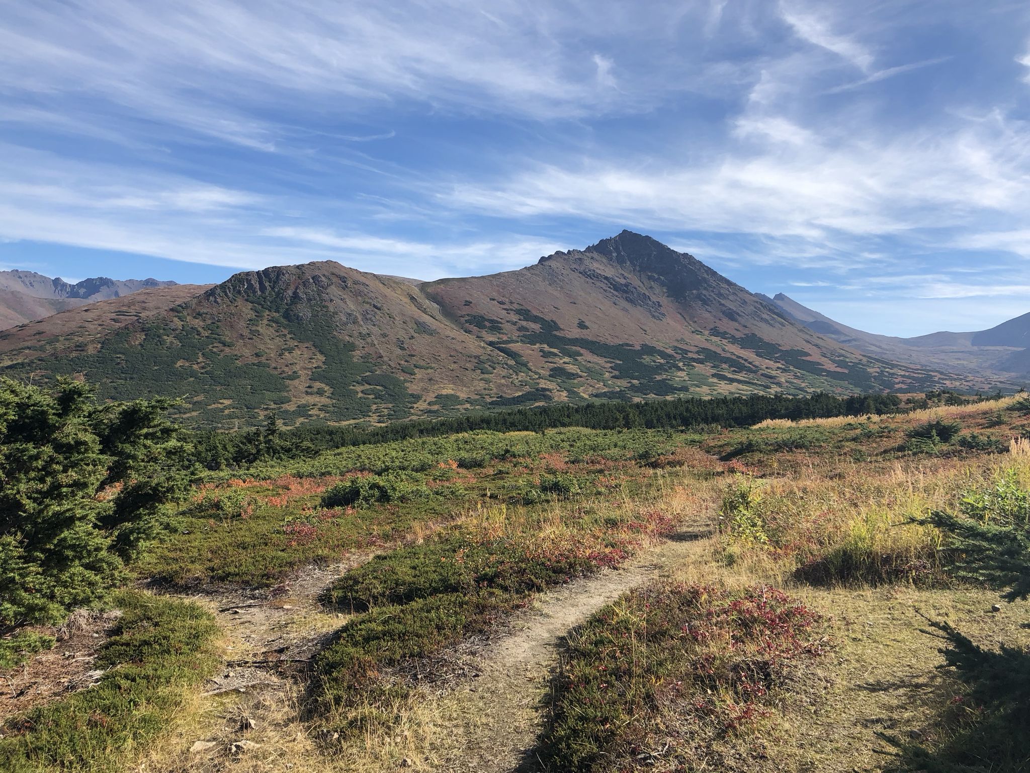 Mountain landscape with a winding trail, green and brown foliage, under a partly cloudy sky. - Blueberry Knoll Loop