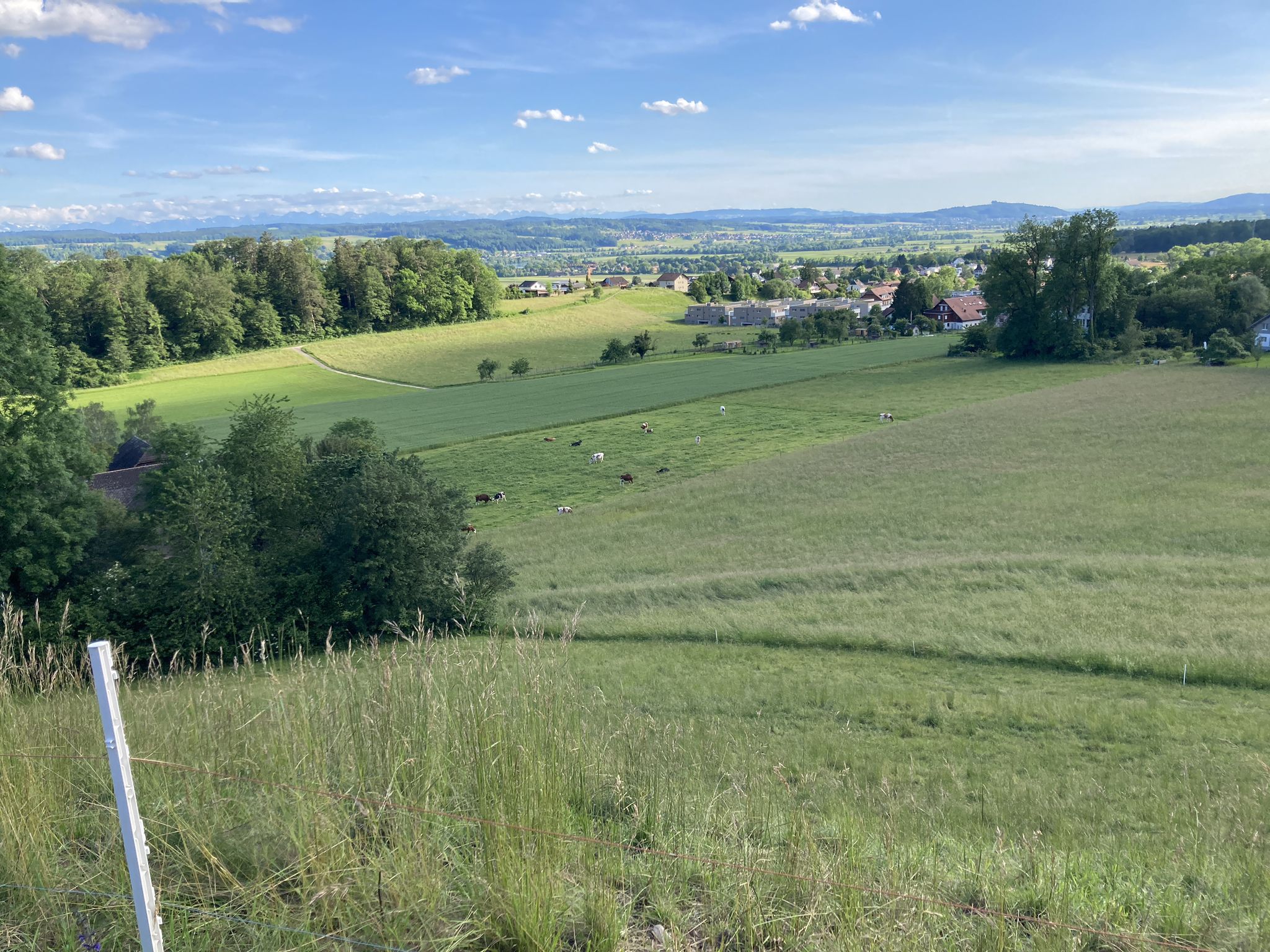 Aussicht nach Süden...
