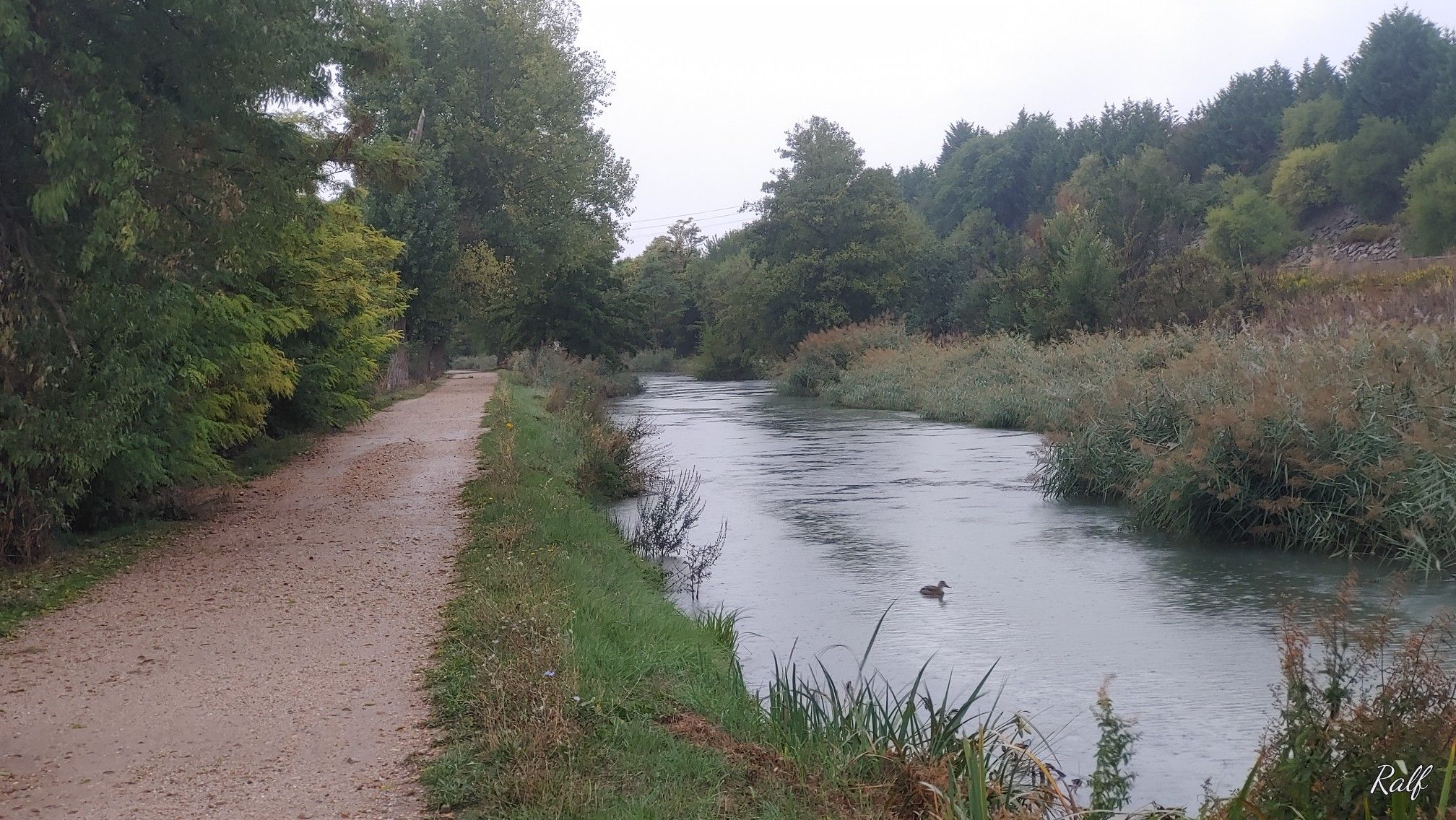 wieder am Kanal und kurz vor Ende wieder ☔