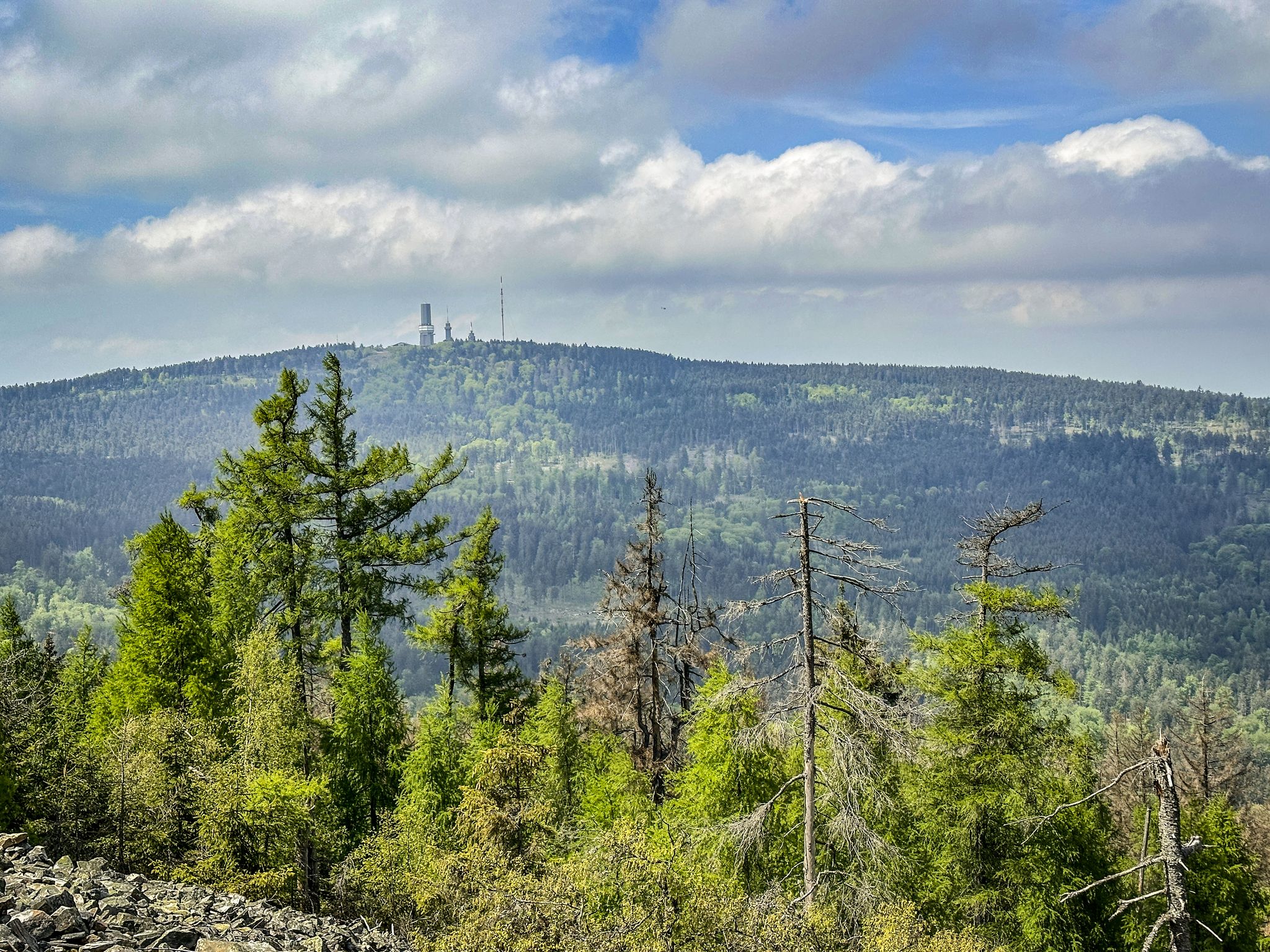 Feldbergblick