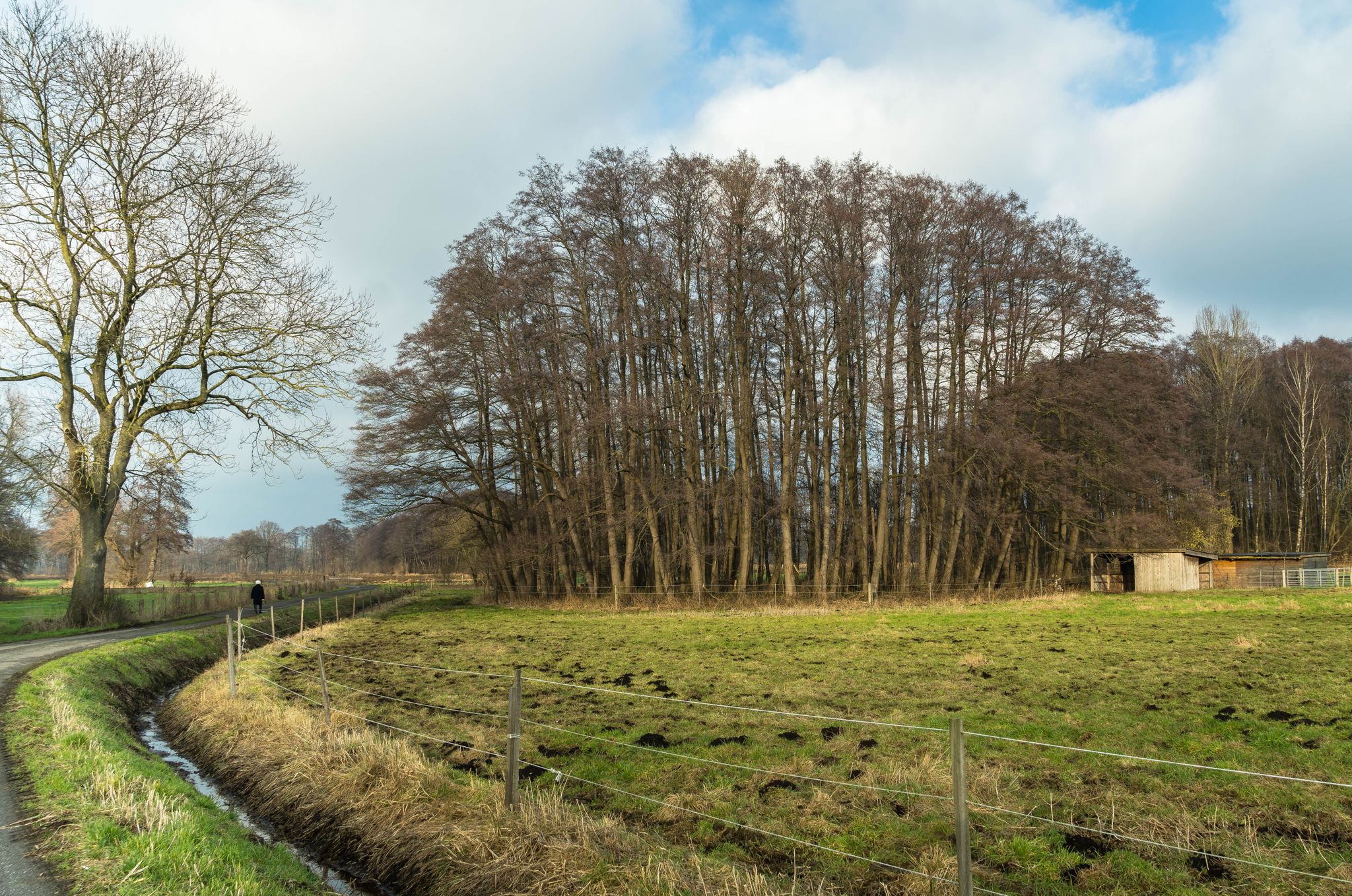am Moorweg