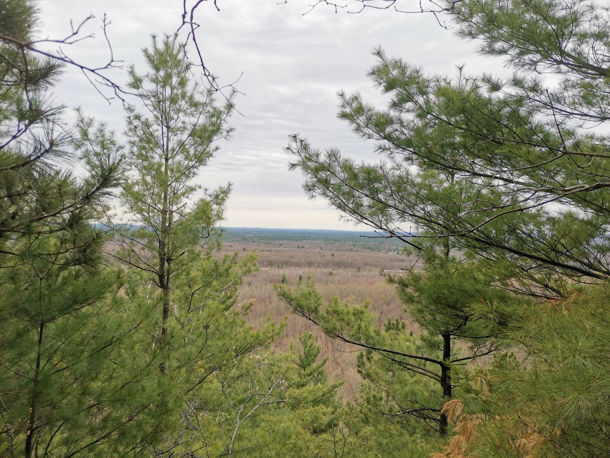 A wide view of a vast forest under a cloudy, grey sky. - Levis Mound Switchback Loop