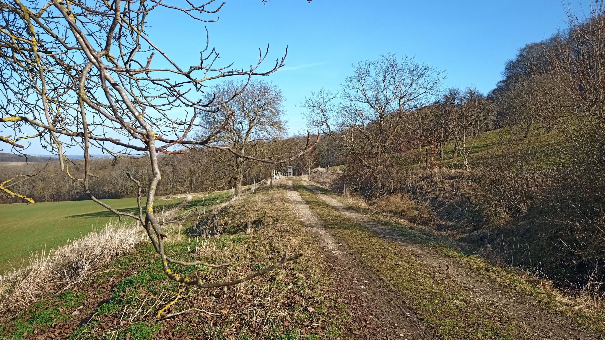 am Fuße des Geißbergs entlang