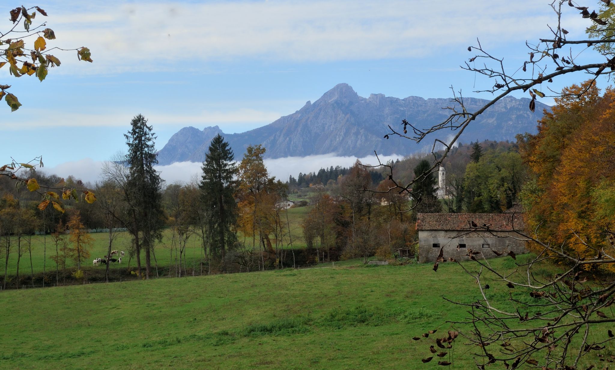 Campagna tra Bolzano Bellunese e Tisoi