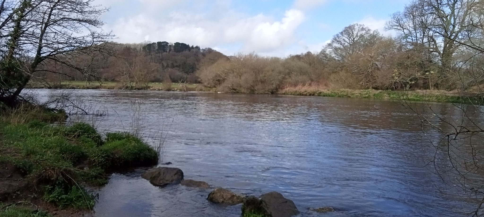 view to opposite side of the river, footpath stays this side