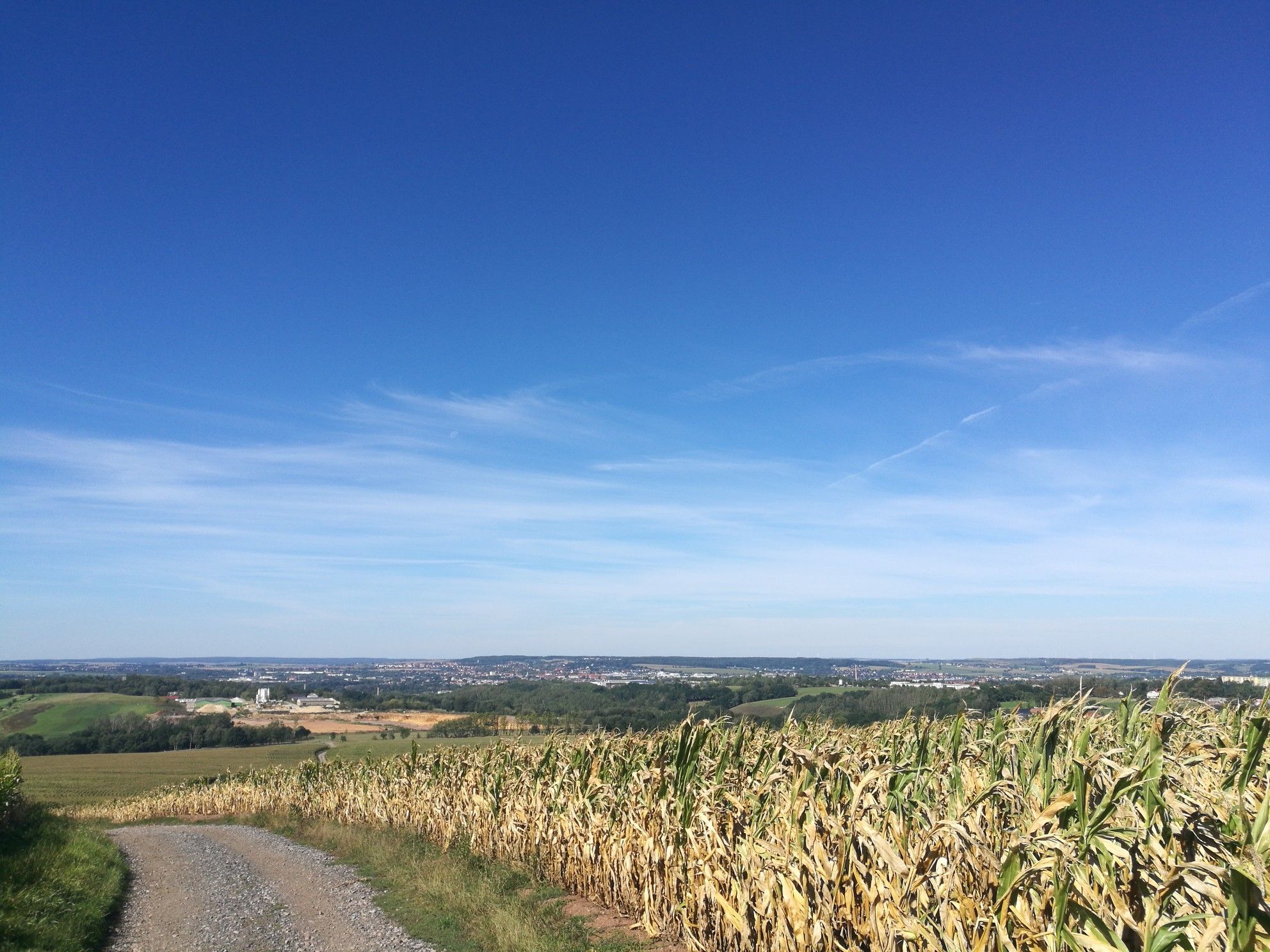 toller Blick auf Zwickau