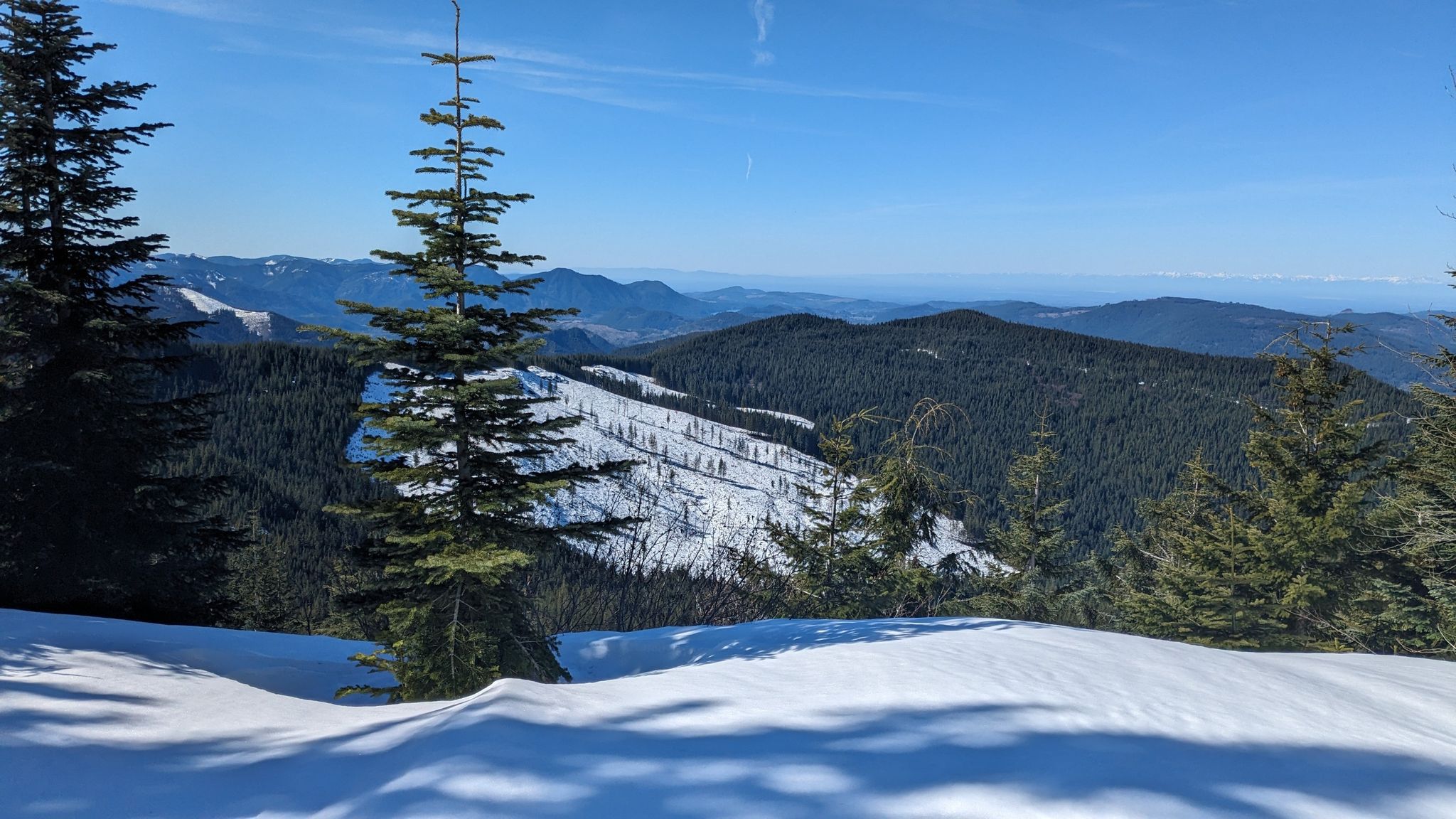 Expansive sunny view of snow-covered mountains and evergreen forests under blue sky. - High Hut Snowshoe Trail