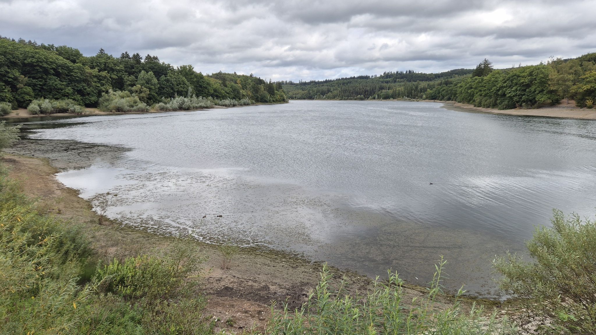 Sorpesee, Blickrichtung Staumauer.