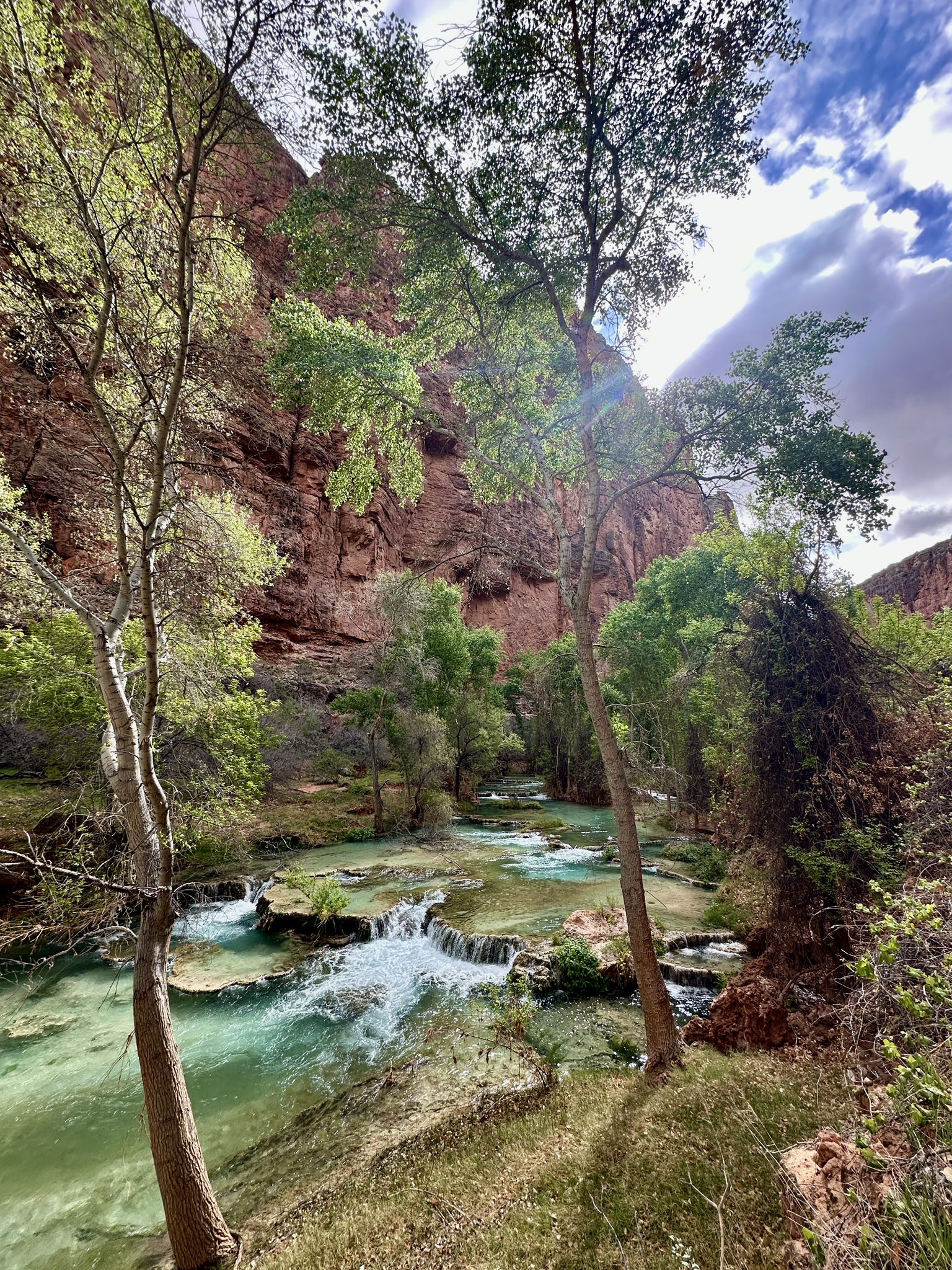 A river with small waterfalls flows through a canyon, framed by trees, bright sun. - The Confluence from Supai Village