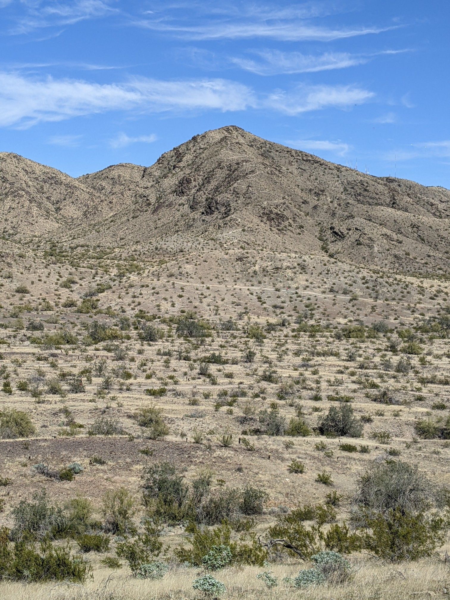 Barren desert mountain landscape with scrub brush under a clear blue sky. - Bursera Trail