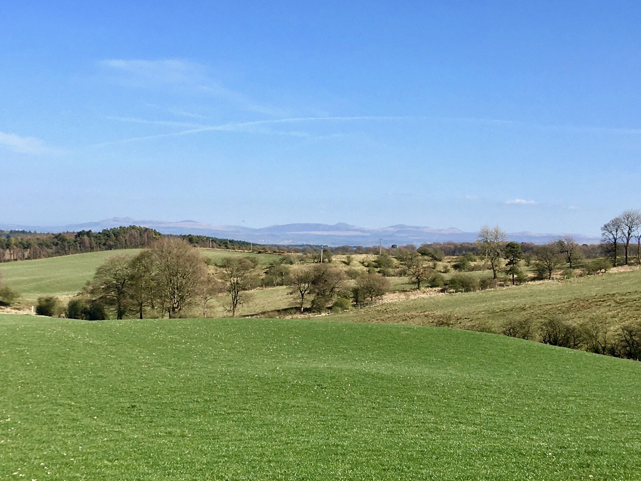 view from road by Cairnpapple