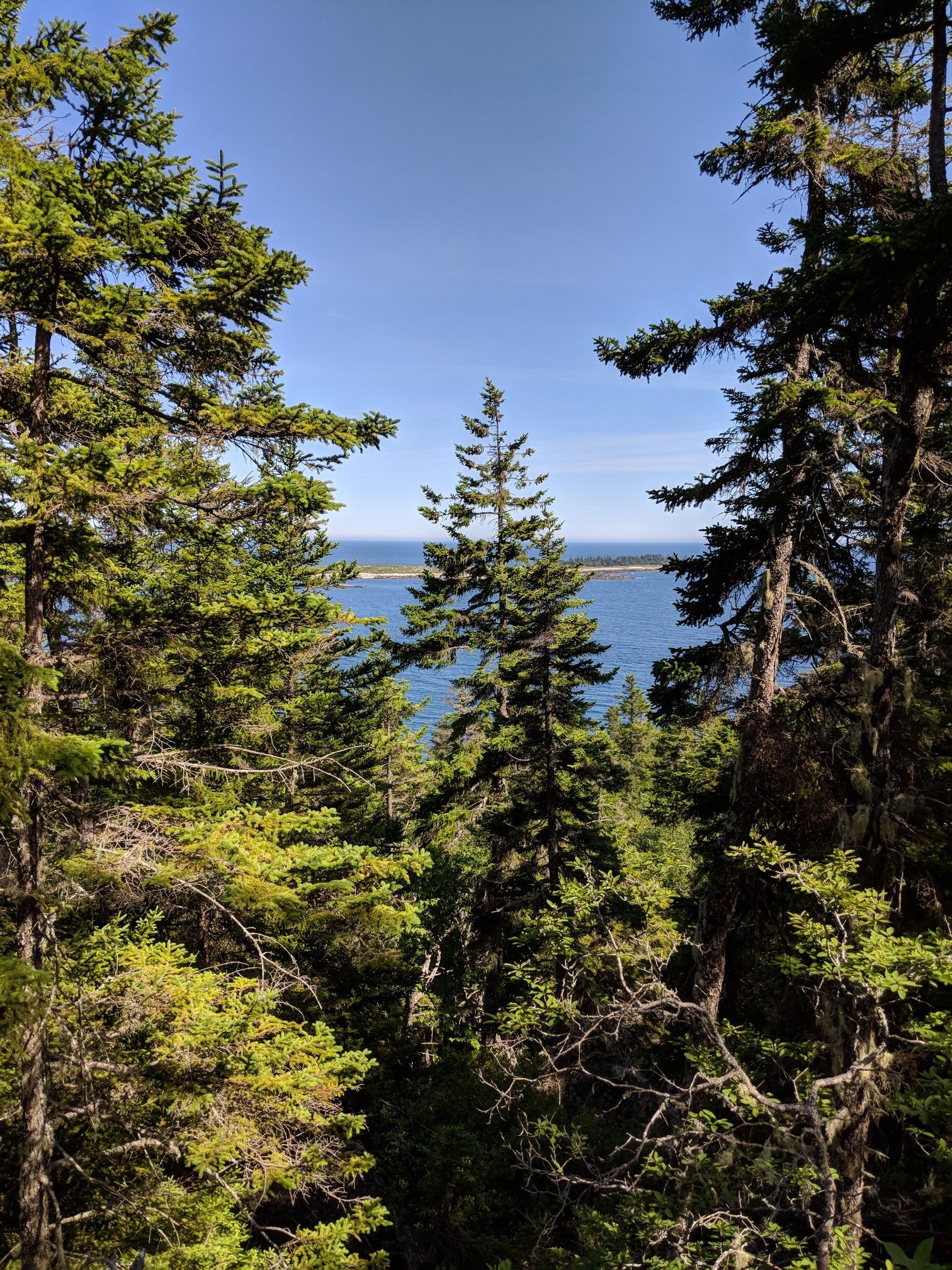Dense green forest frames a bright blue ocean under a clear sky. - Anvil Trail