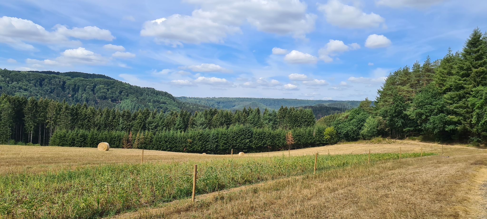 Sehr schöner Weg auf der Höhe