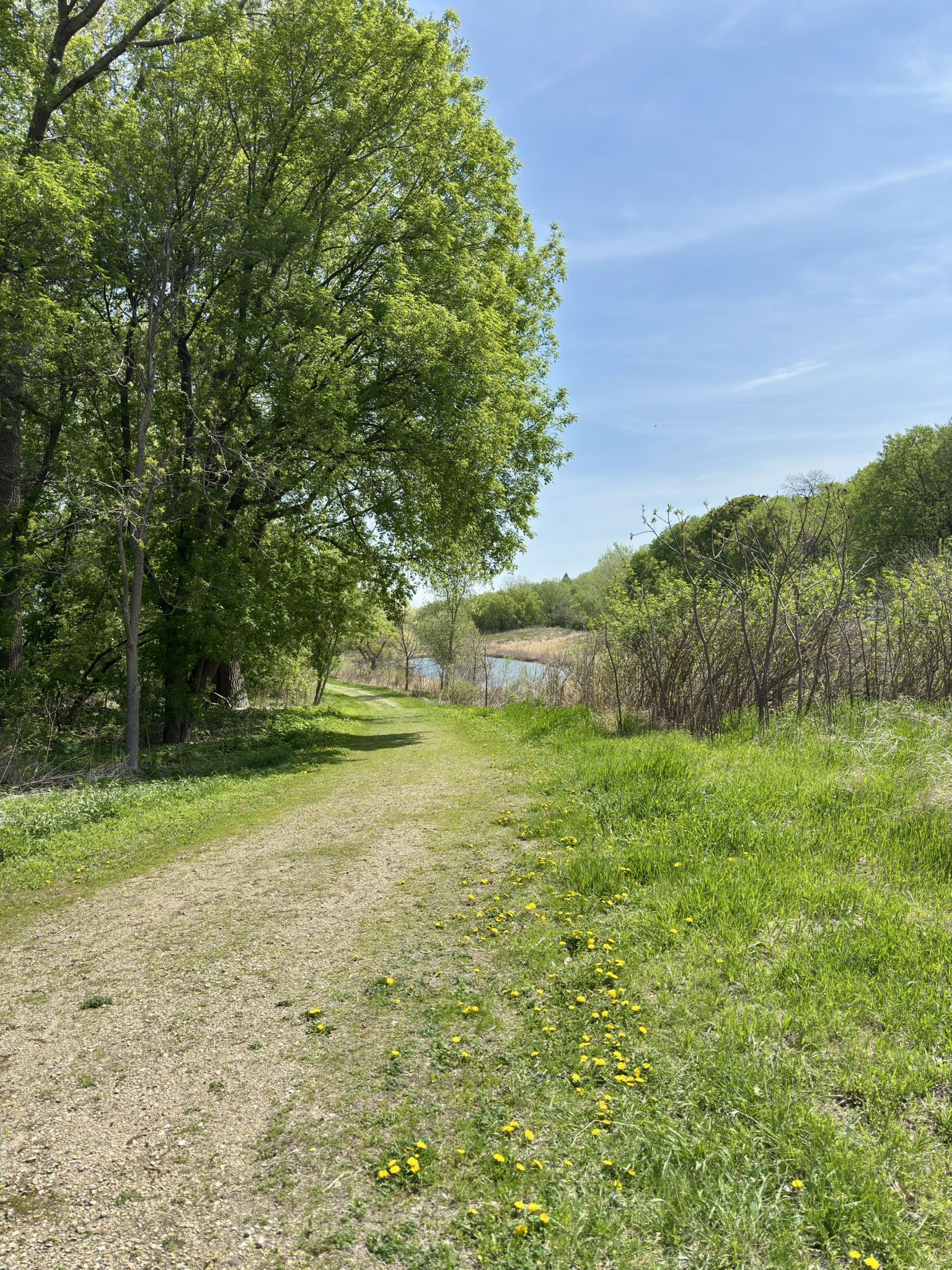 Trailview at the Rudy Kraemer Nature Preserve