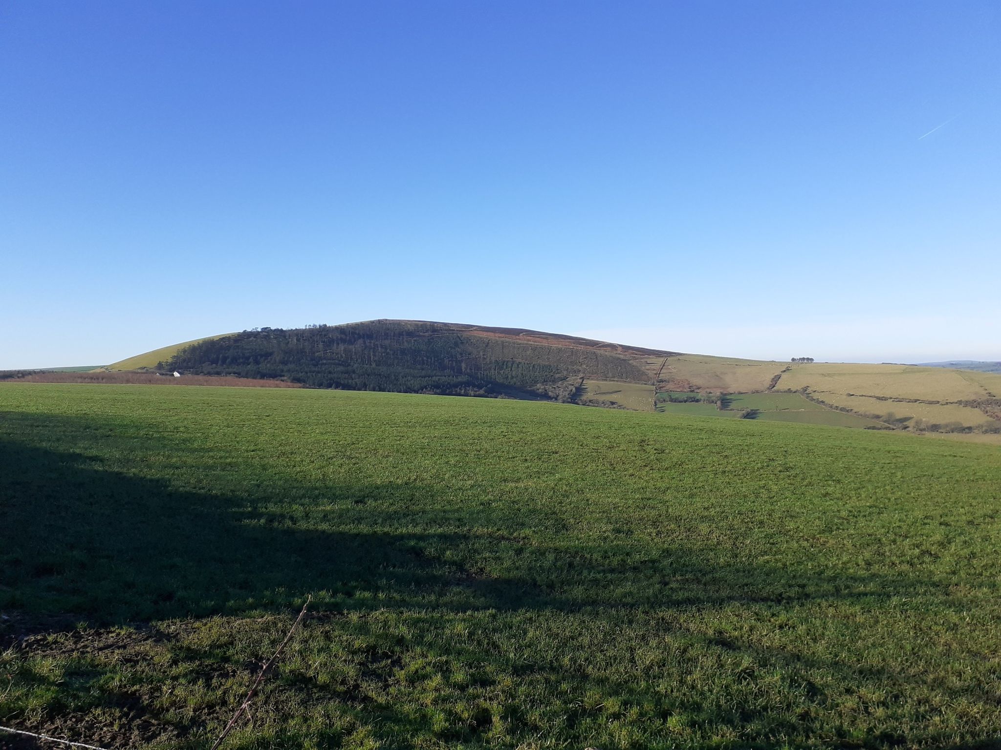 Frenni Fawr Plantation, East face