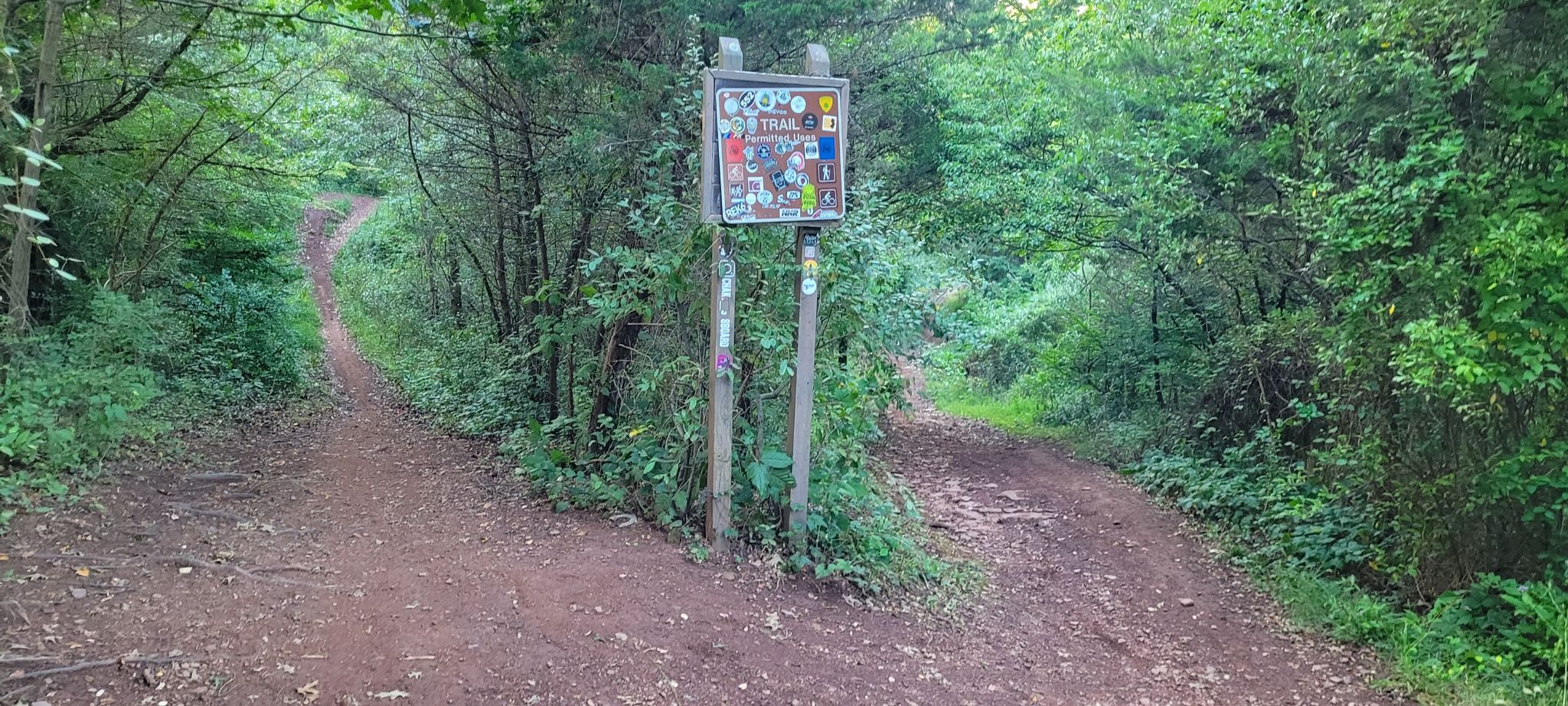 A trail sign stands at a fork in a dirt path through a green forest. - Red Trail loop from Blackwells Mills