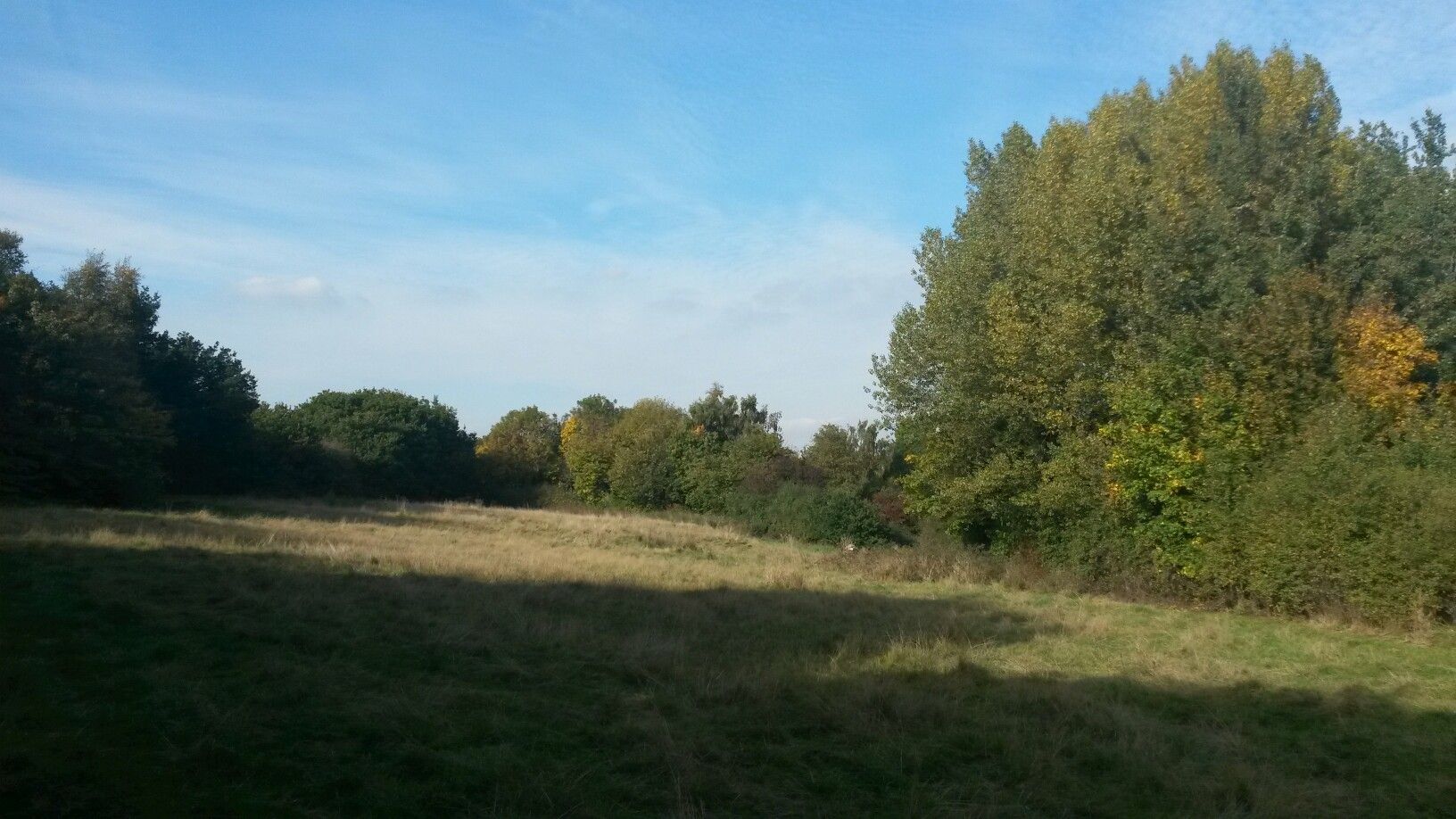 Lichtung