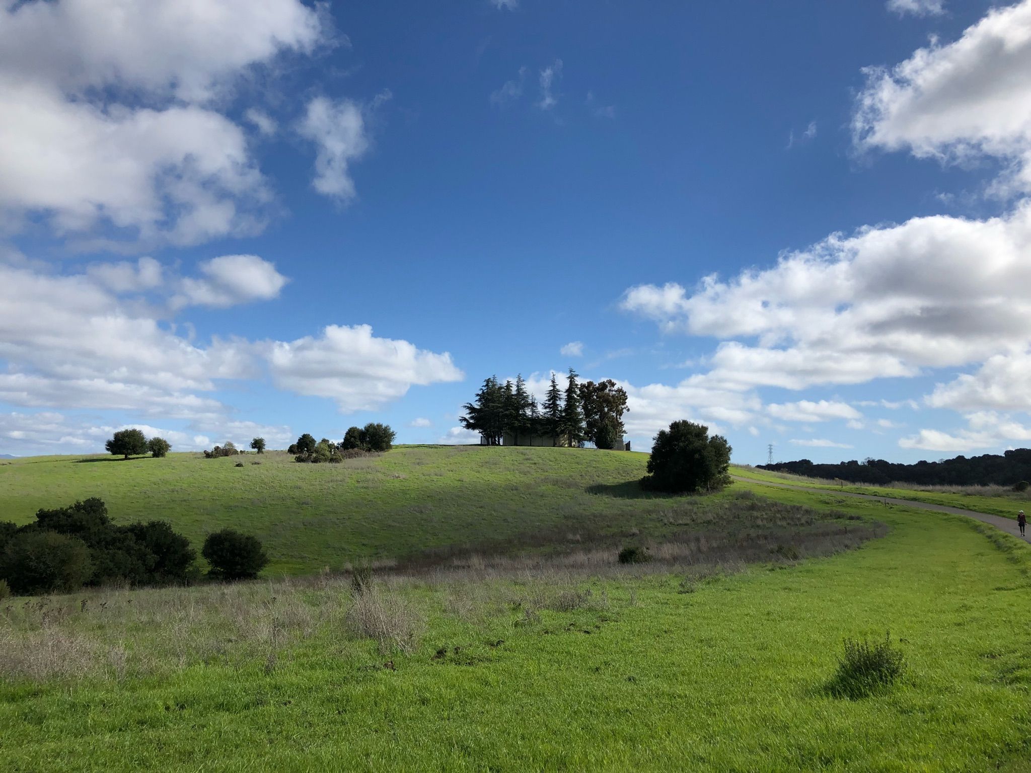 Sunny day over rolling green hills with scattered trees and a distant walker. - Rogue Valley, Chamise, and Mora Trail Loop