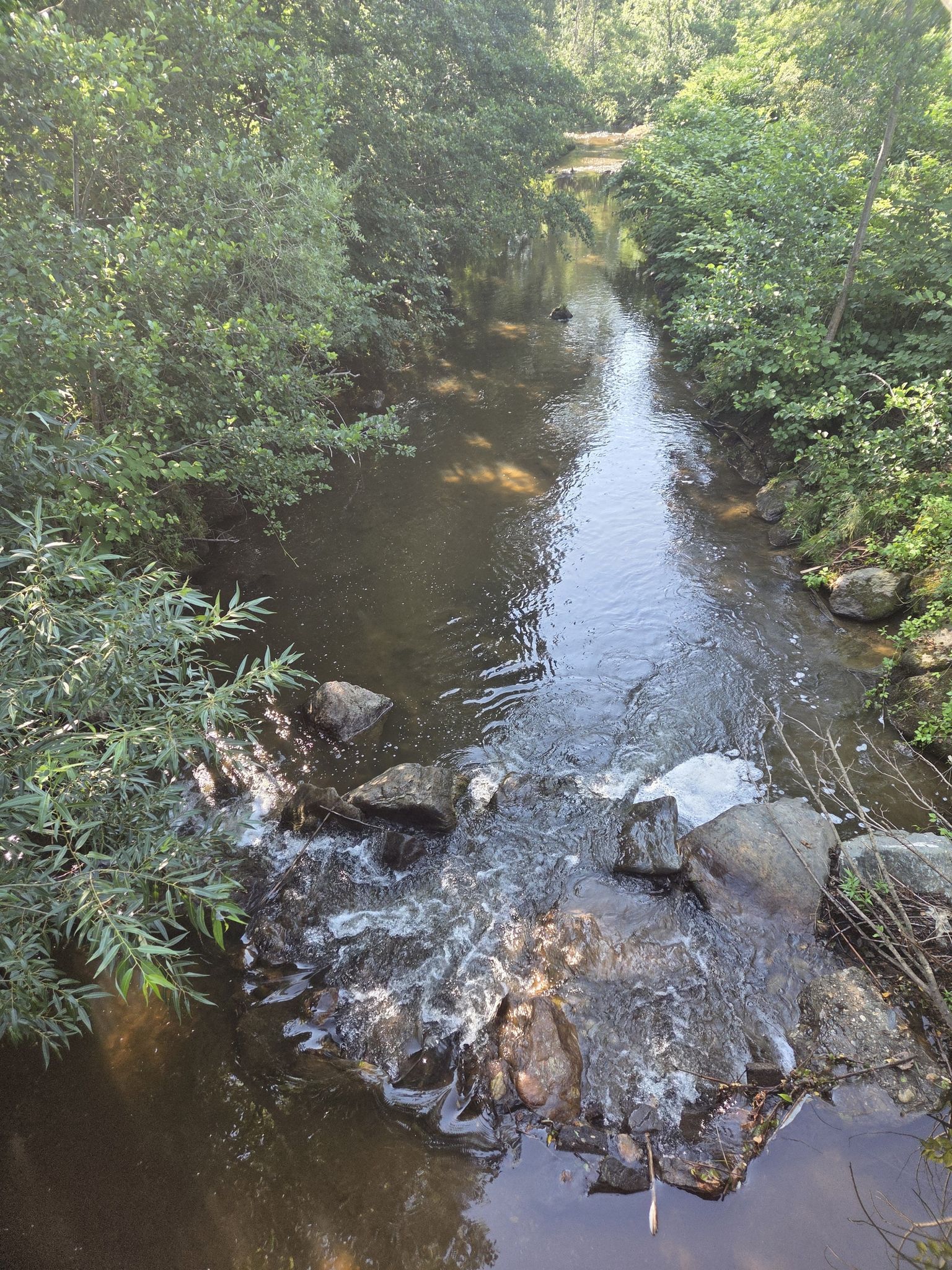 Saggaubach