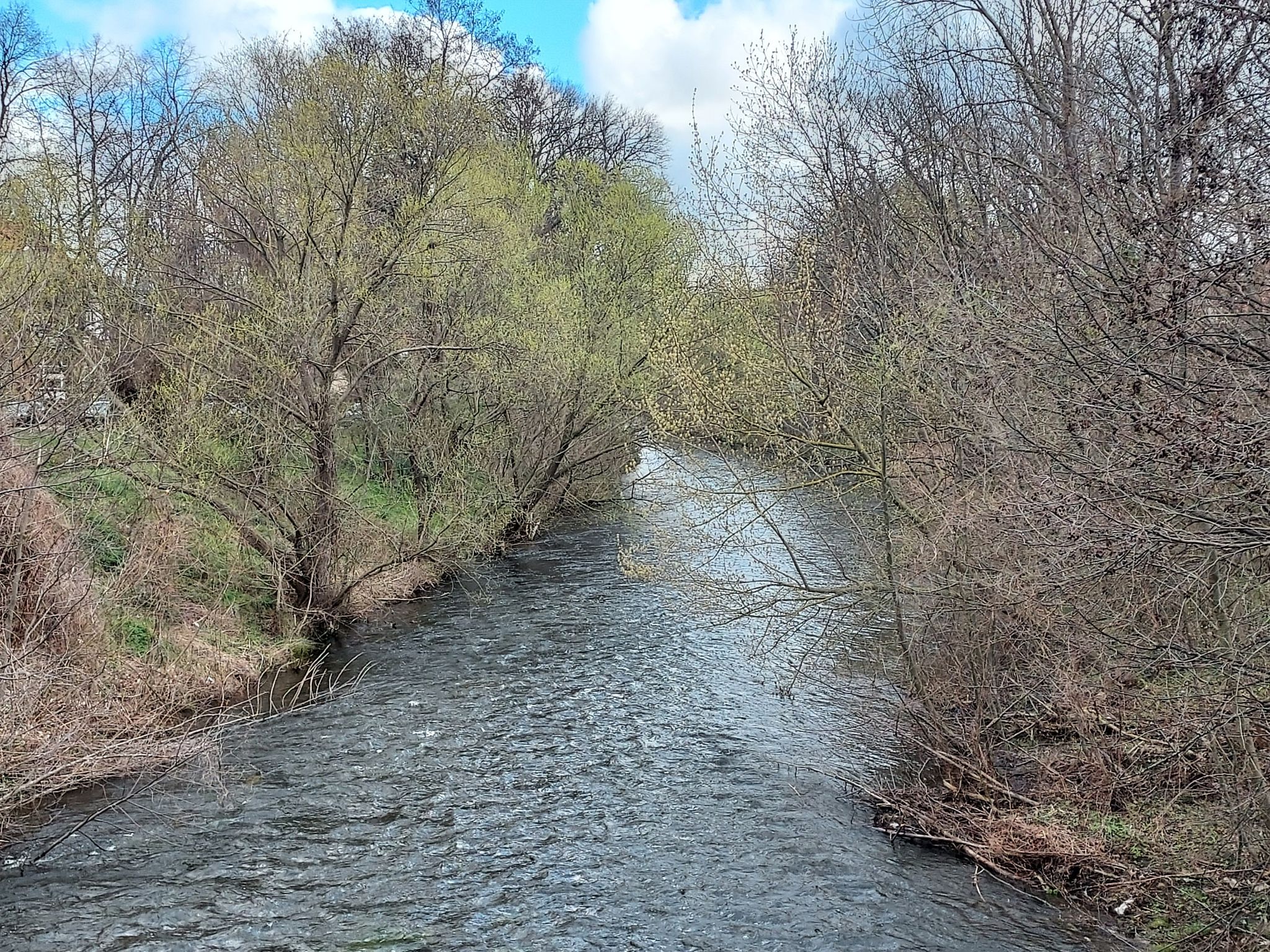 Fluss Bode