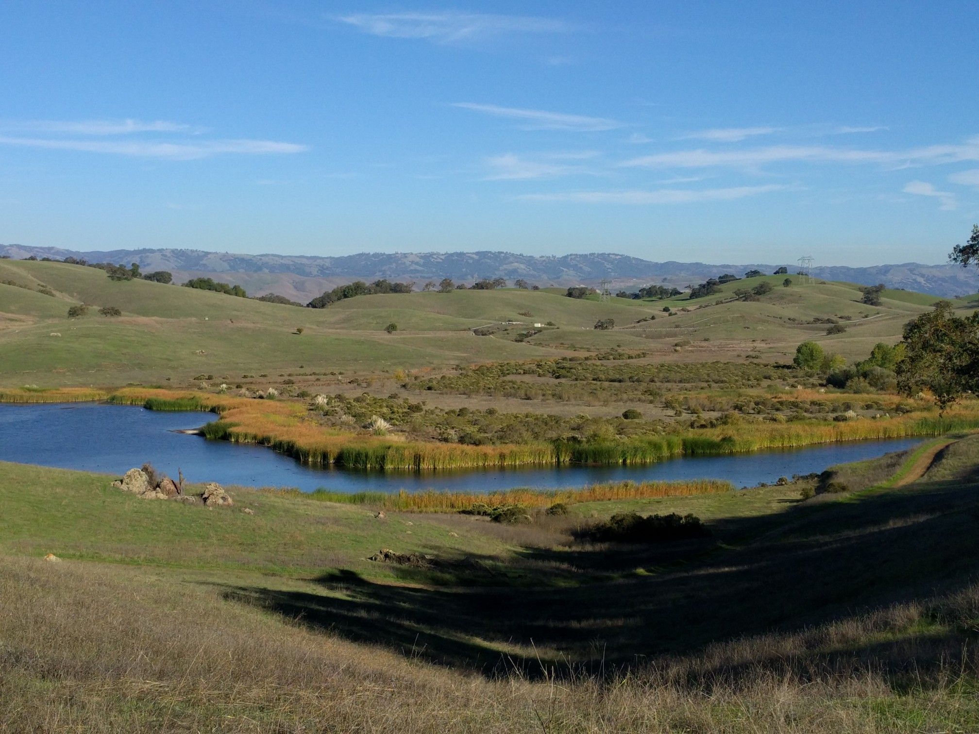 Tranquil lake with tall reeds, surrounded by green rolling hills. - Los Cerritos Trail