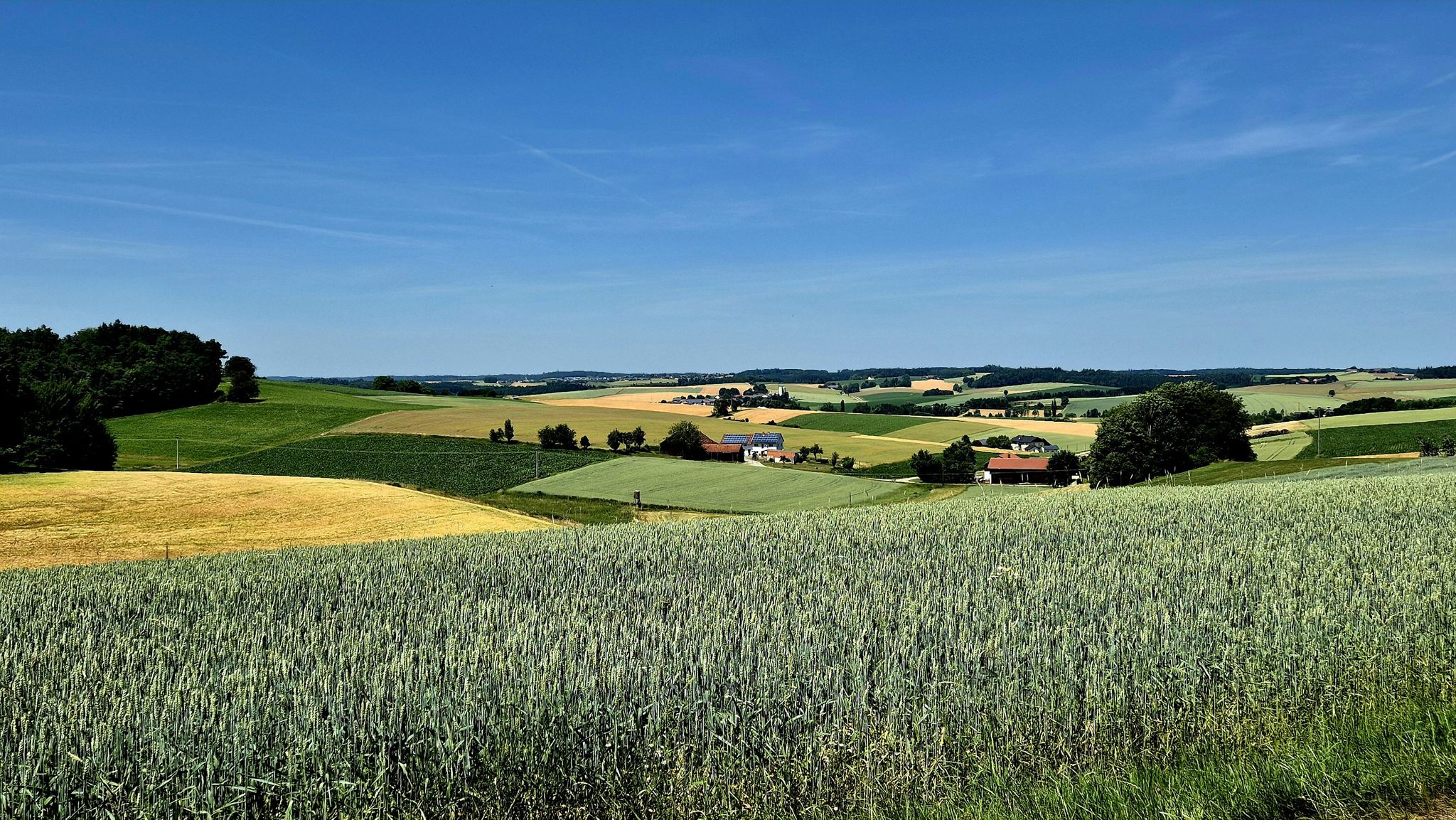 Schönes welliges Land