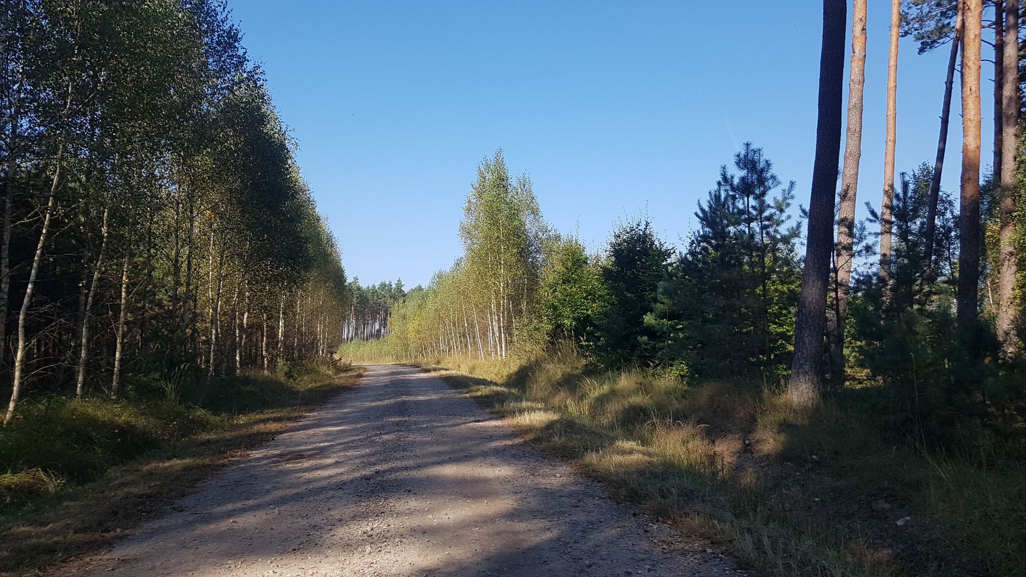 w stronę przejazdu do drogi asfaltowej...