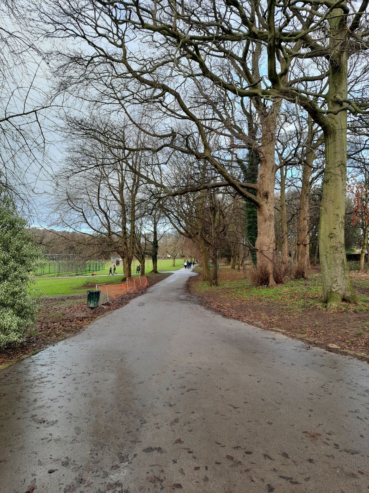 Hall Park