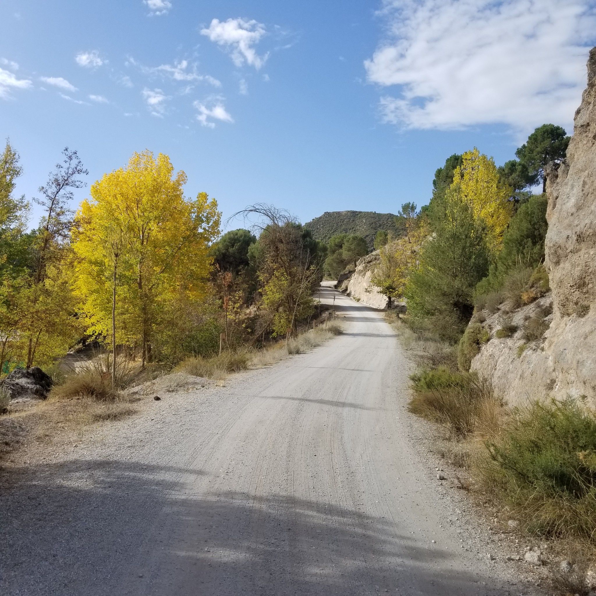 Track, near Aguas Blancas