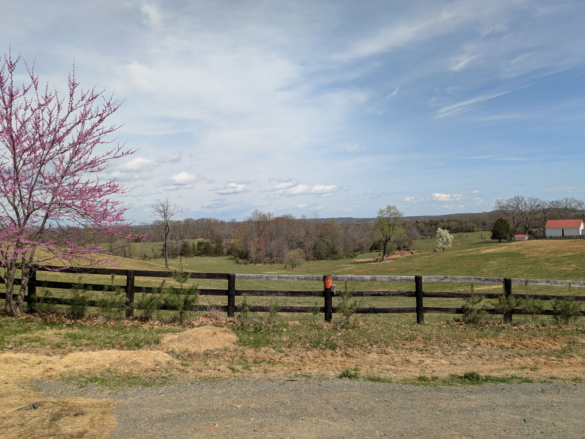A wooden fence separates a blooming tree from rolling green fields and distant buildings. - Lovely Aldie – Middleburg, Virginia loop from Bus Lot