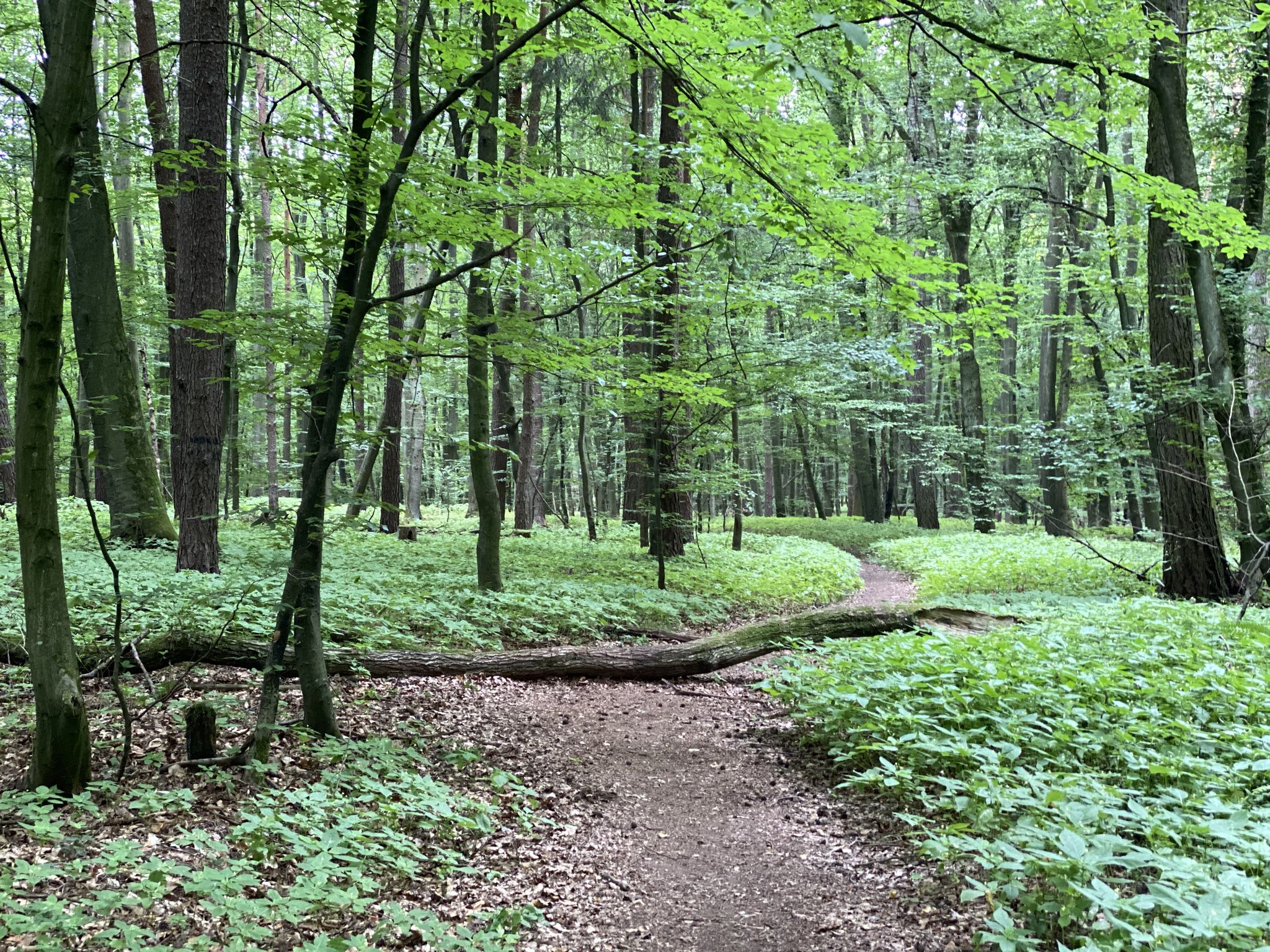 Wegversperrung x 2