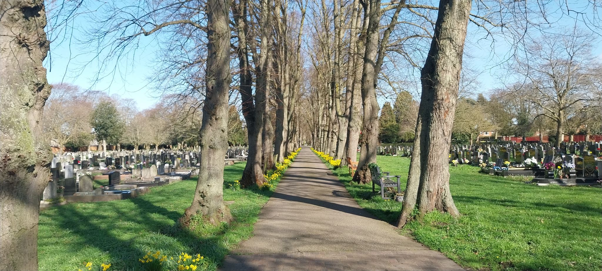 Cemetry