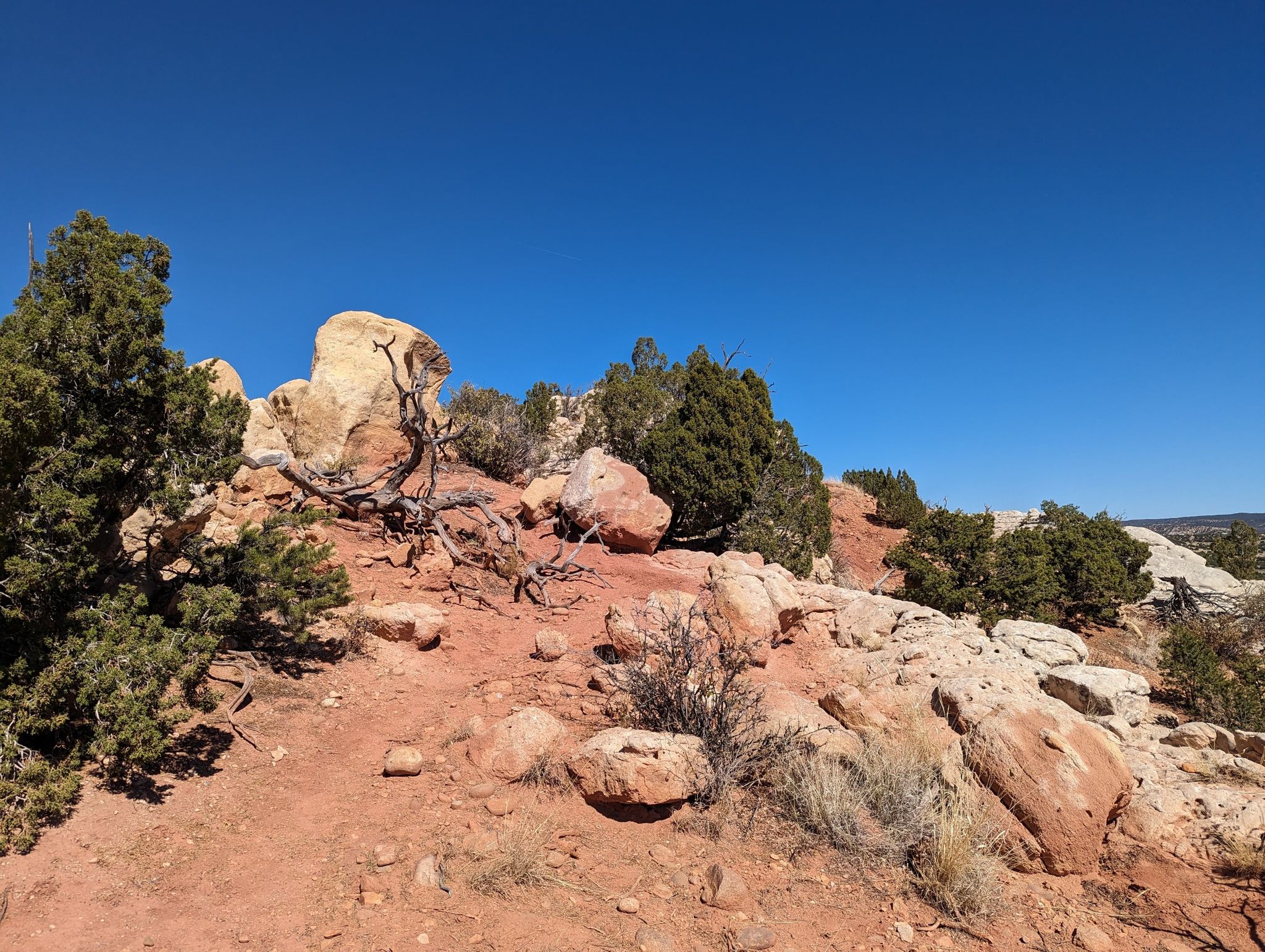 Arid landscape with red rocks, green shrubs, and a clear blue sky. - Shepherd's, Eliza's Ridge and Gretl's Way Loop