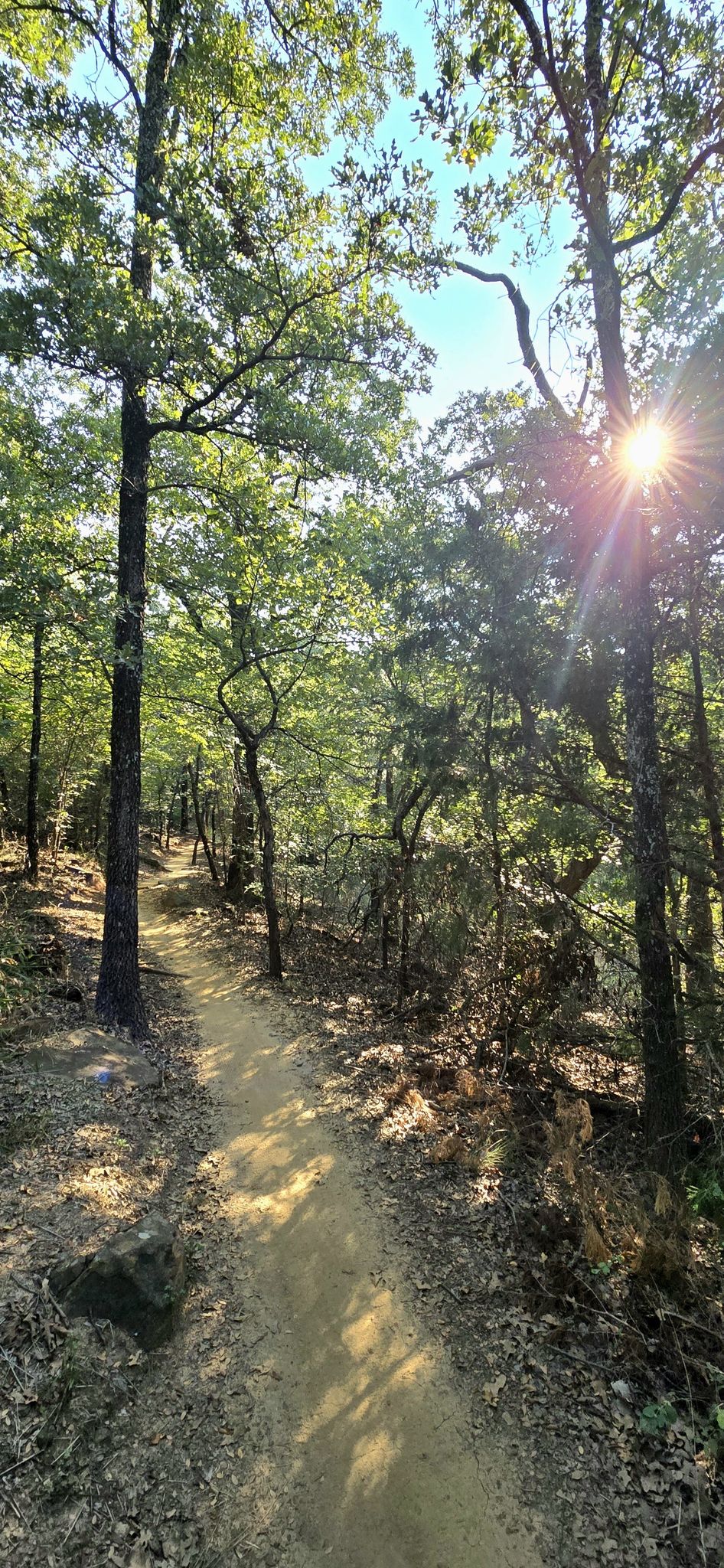 A forest path with bright sunlight shining through green tree canopies. - Twin Coves Marina loop from Rockpointe Church