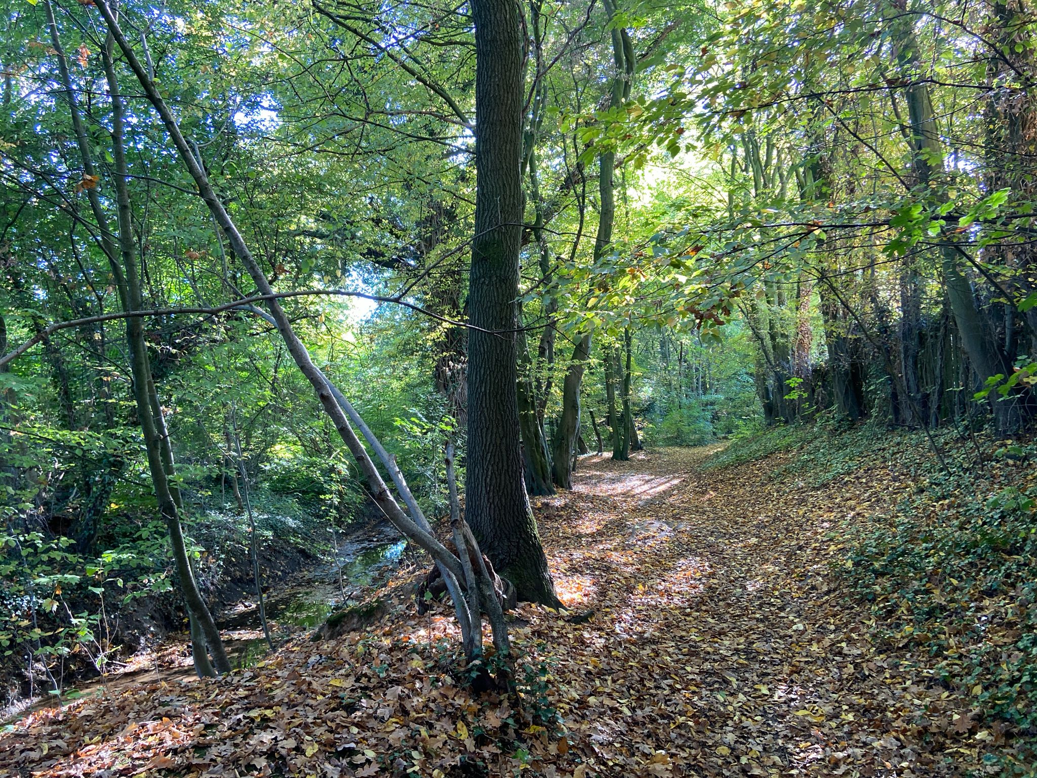 Am Gievenbach