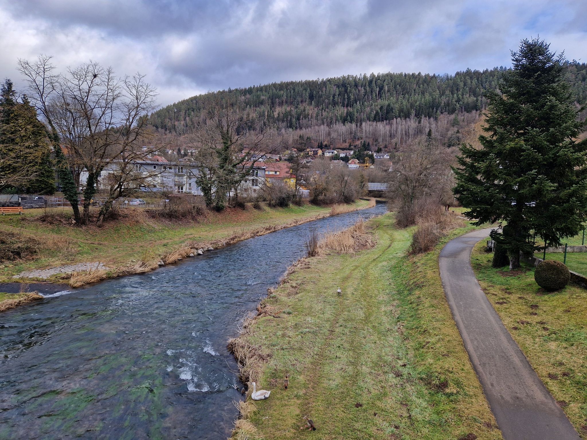 Nagold in Calw-Hirsau